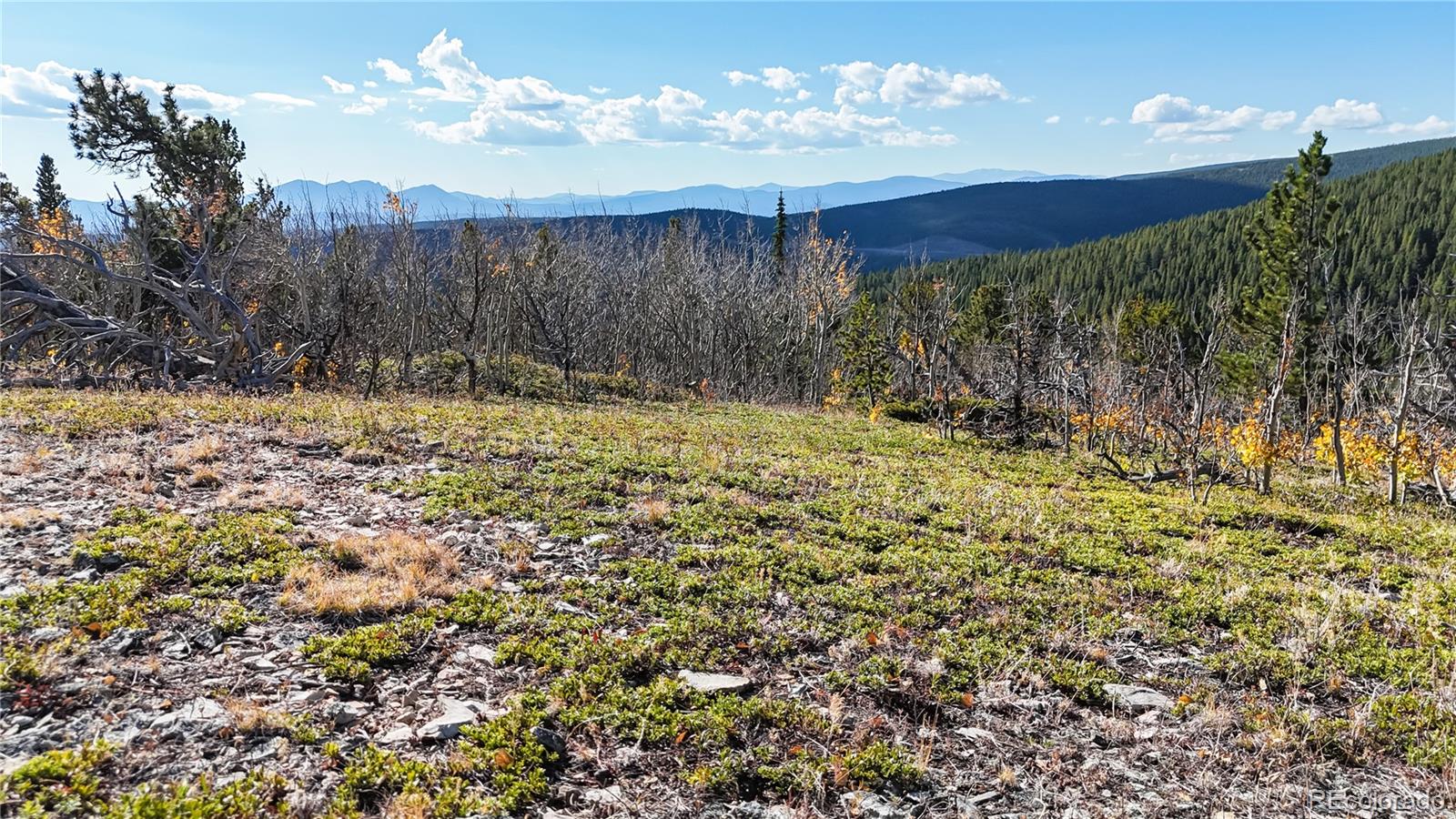 MLS Image #32 for 43391  peak to peak highway,ward, Colorado