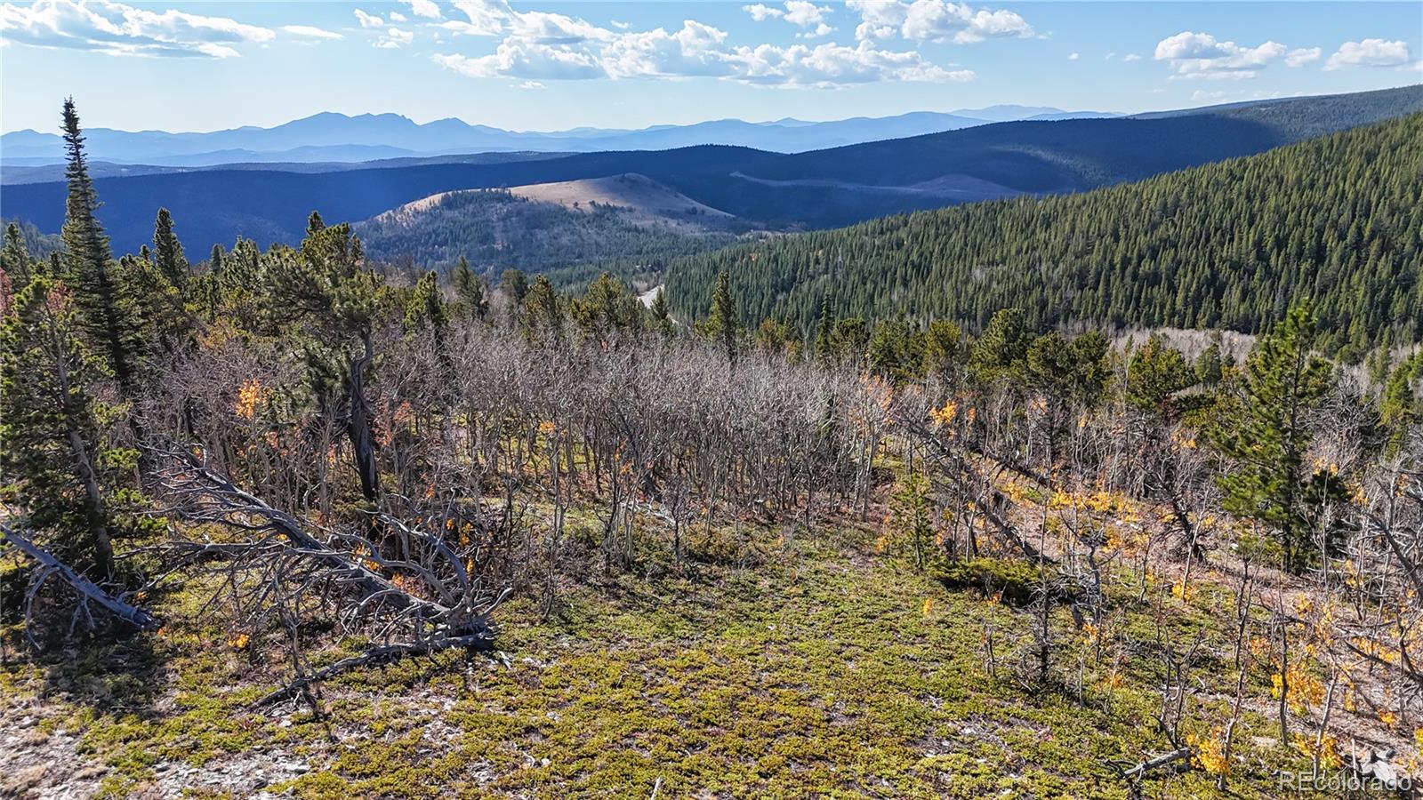 MLS Image #35 for 43391  peak to peak highway,ward, Colorado