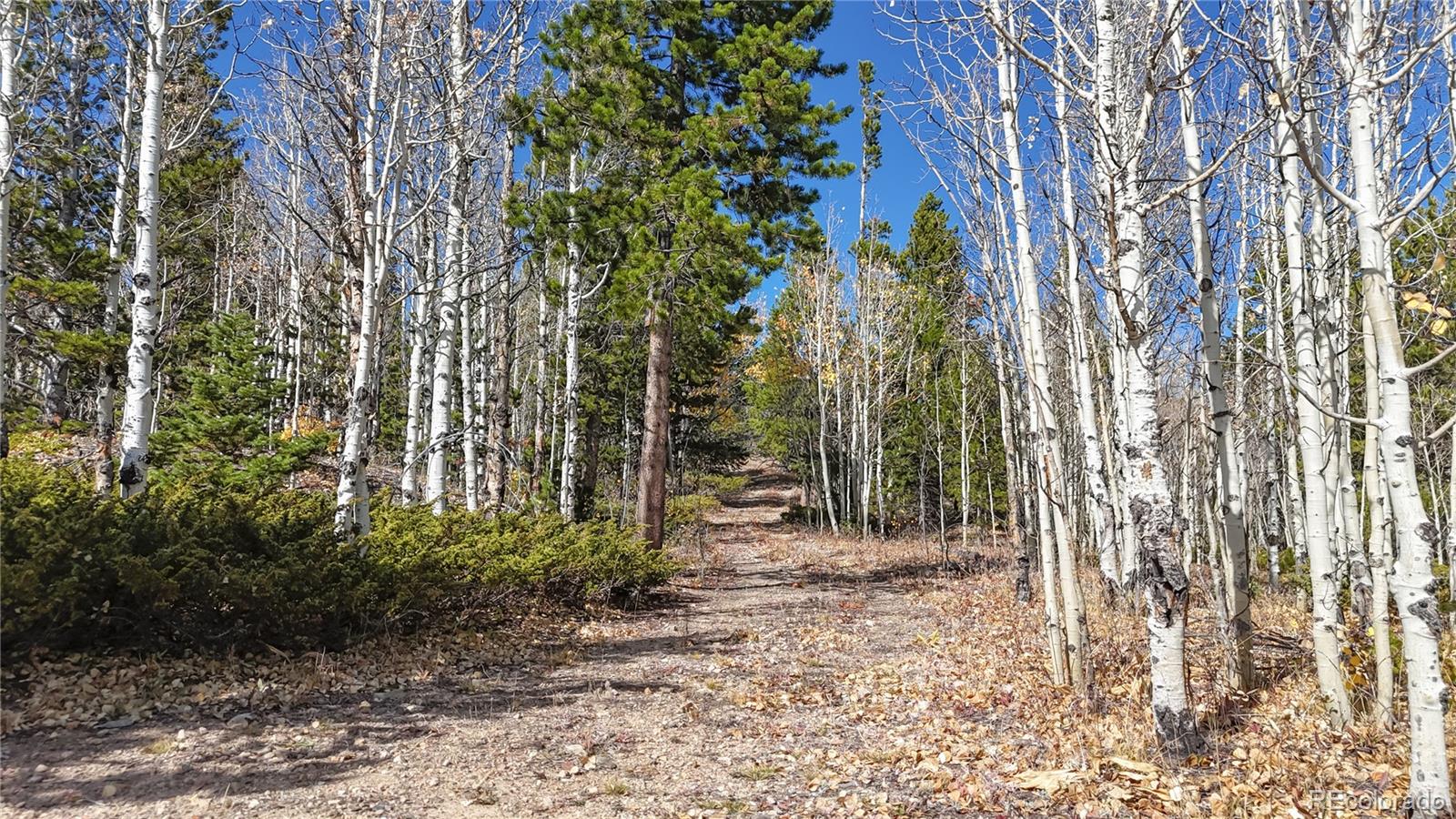 MLS Image #36 for 43391  peak to peak highway,ward, Colorado