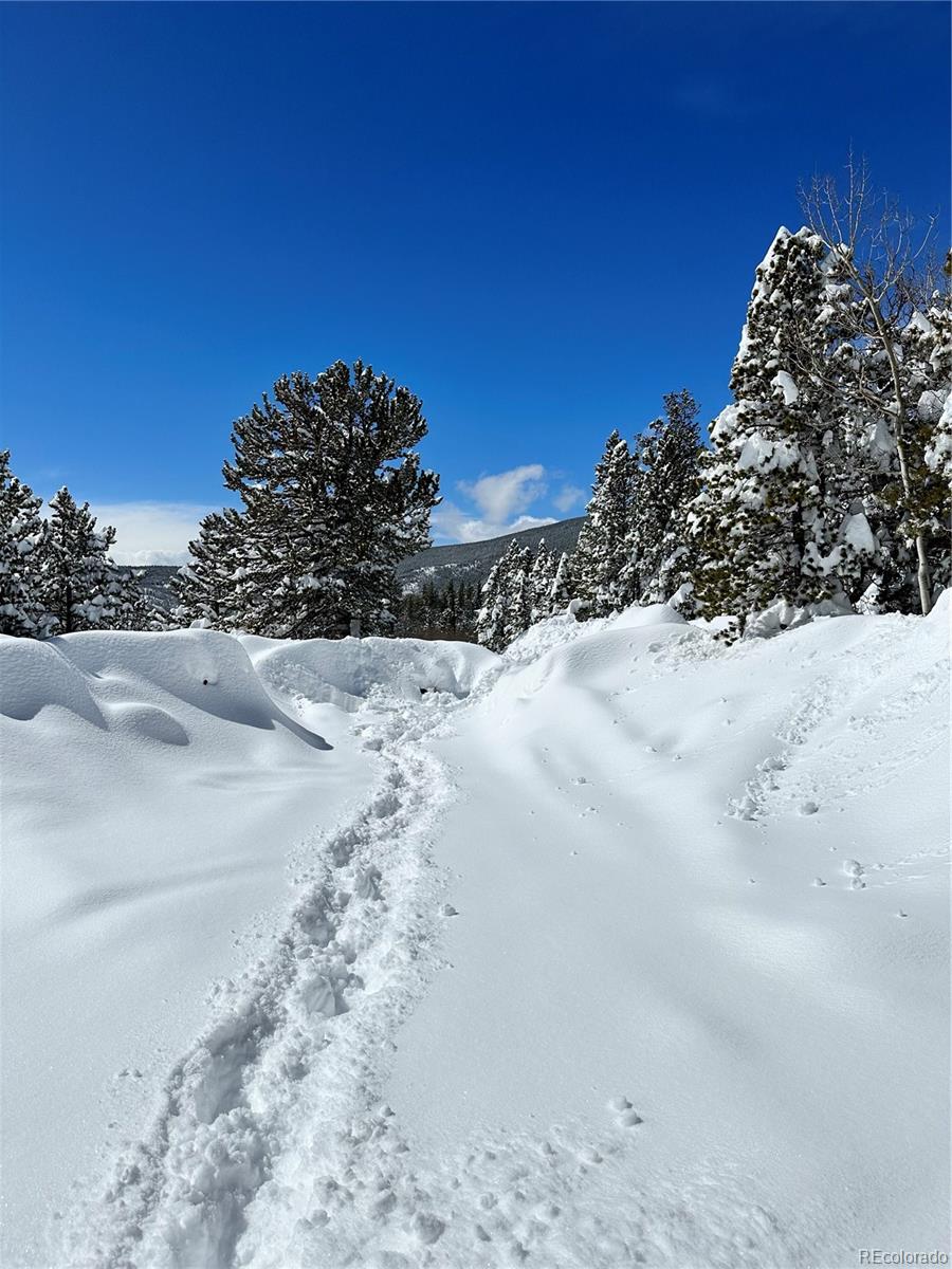 MLS Image #48 for 43391  peak to peak highway,ward, Colorado