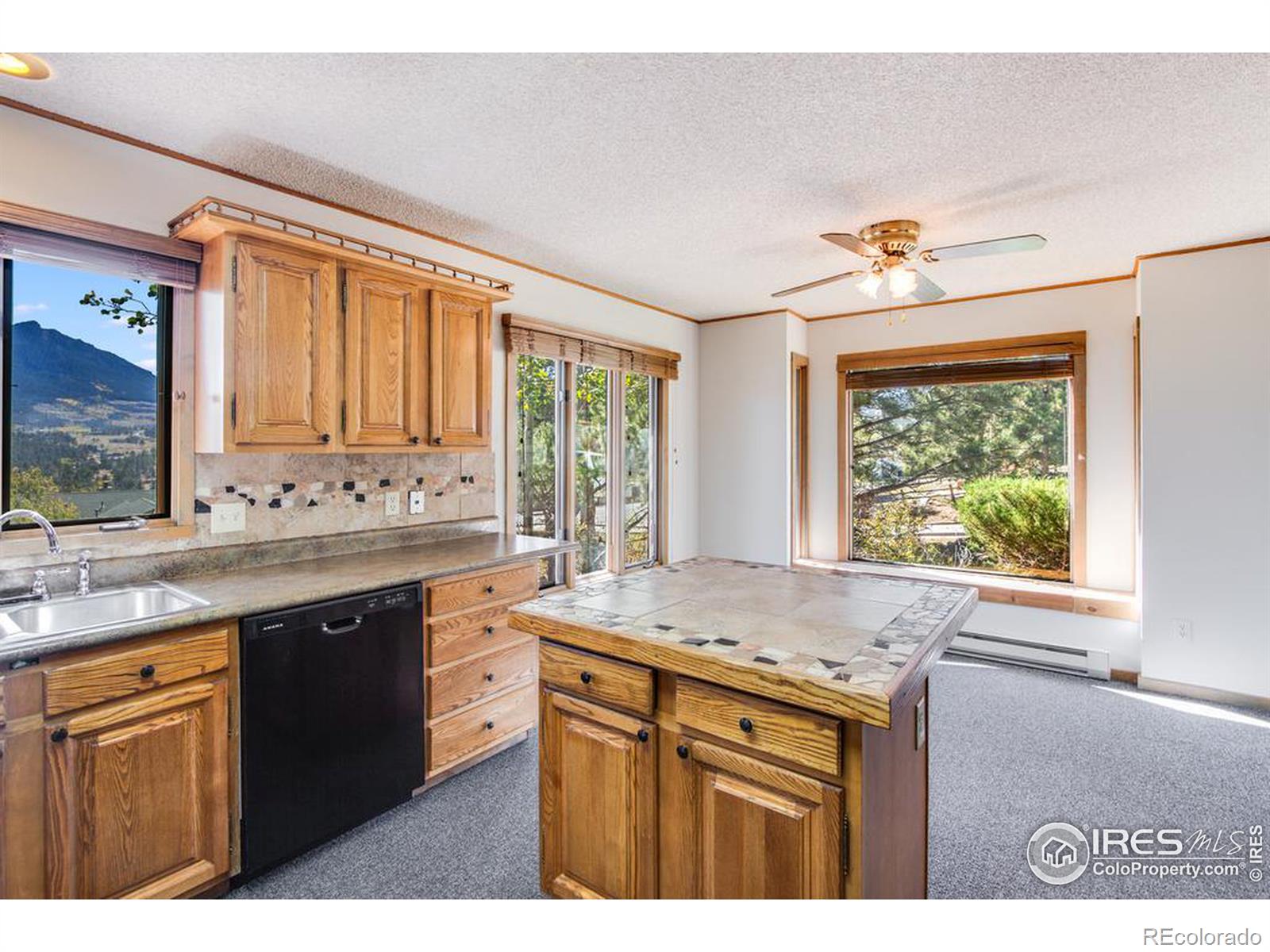 MLS Image #9 for 510  devon drive,estes park, Colorado