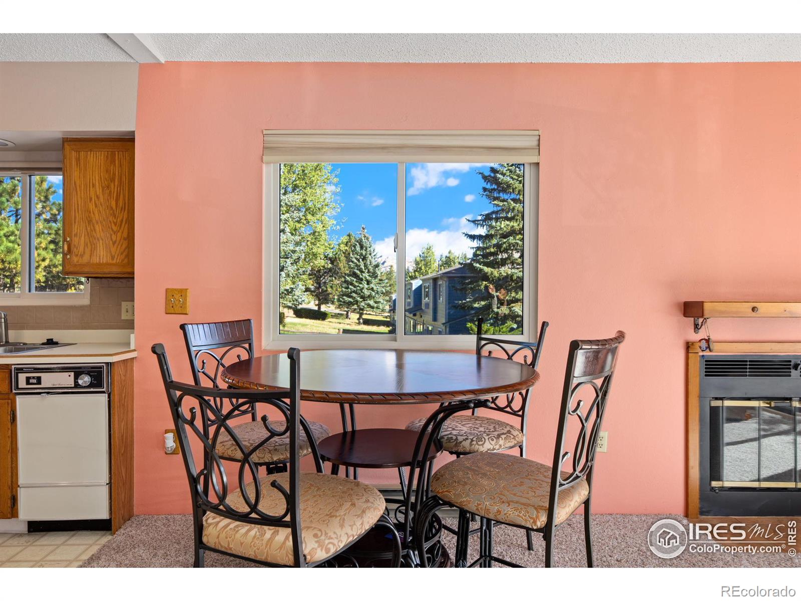 MLS Image #6 for 1010 s saint vrain avenue,estes park, Colorado