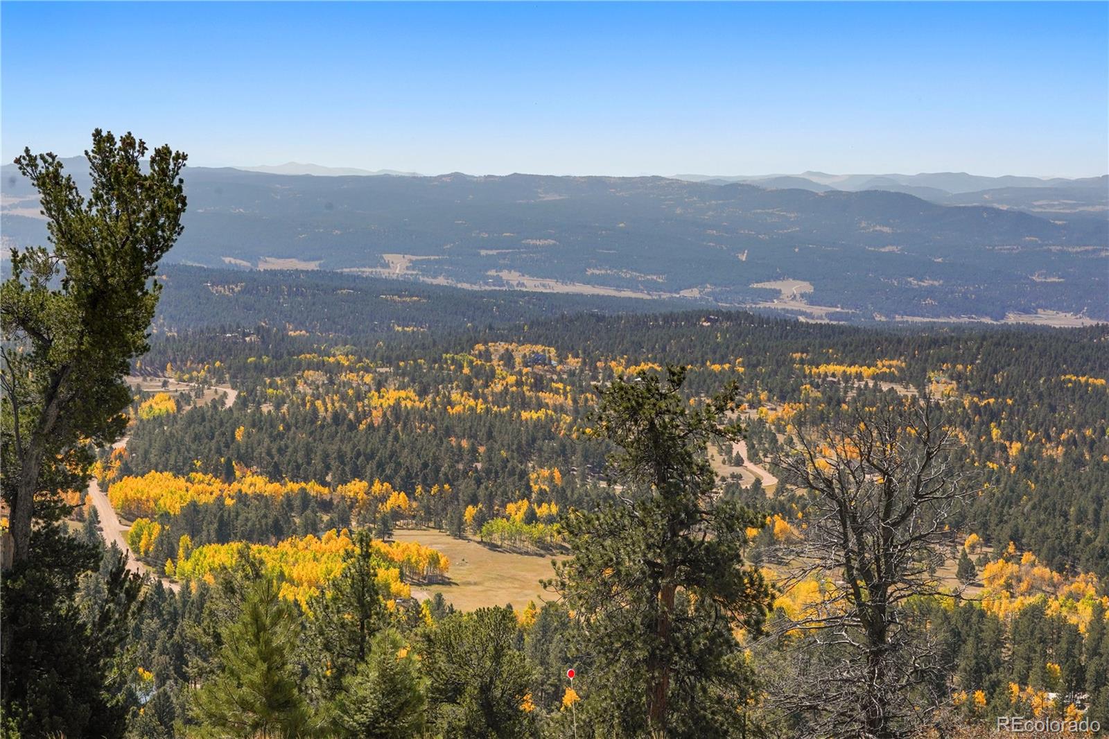 MLS Image #33 for 76  ute creek drive,florissant, Colorado