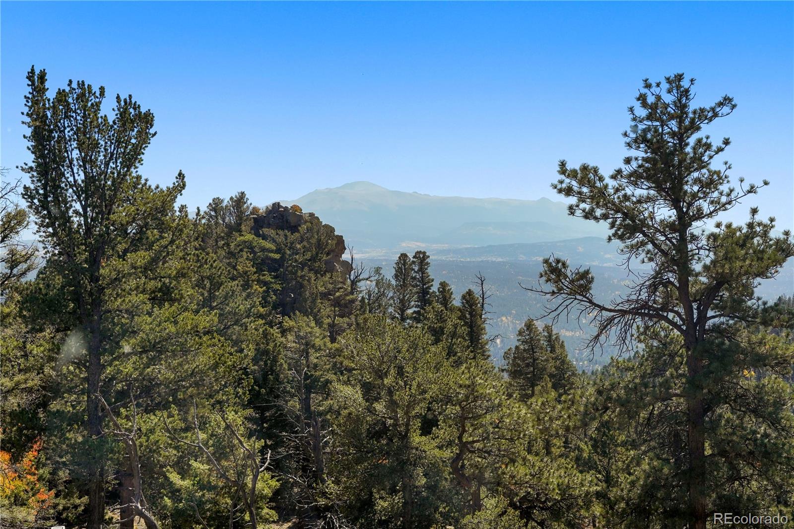 MLS Image #36 for 76  ute creek drive,florissant, Colorado