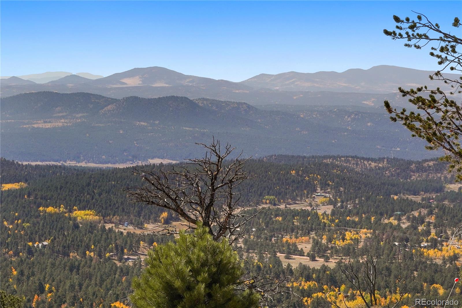 MLS Image #37 for 76  ute creek drive,florissant, Colorado