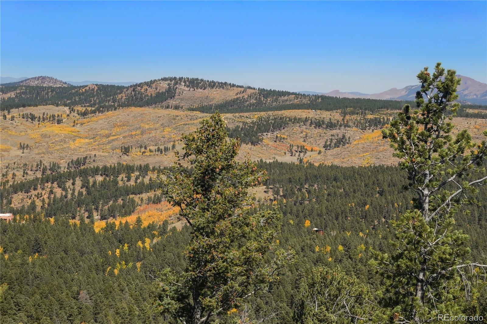 MLS Image #38 for 76  ute creek drive,florissant, Colorado