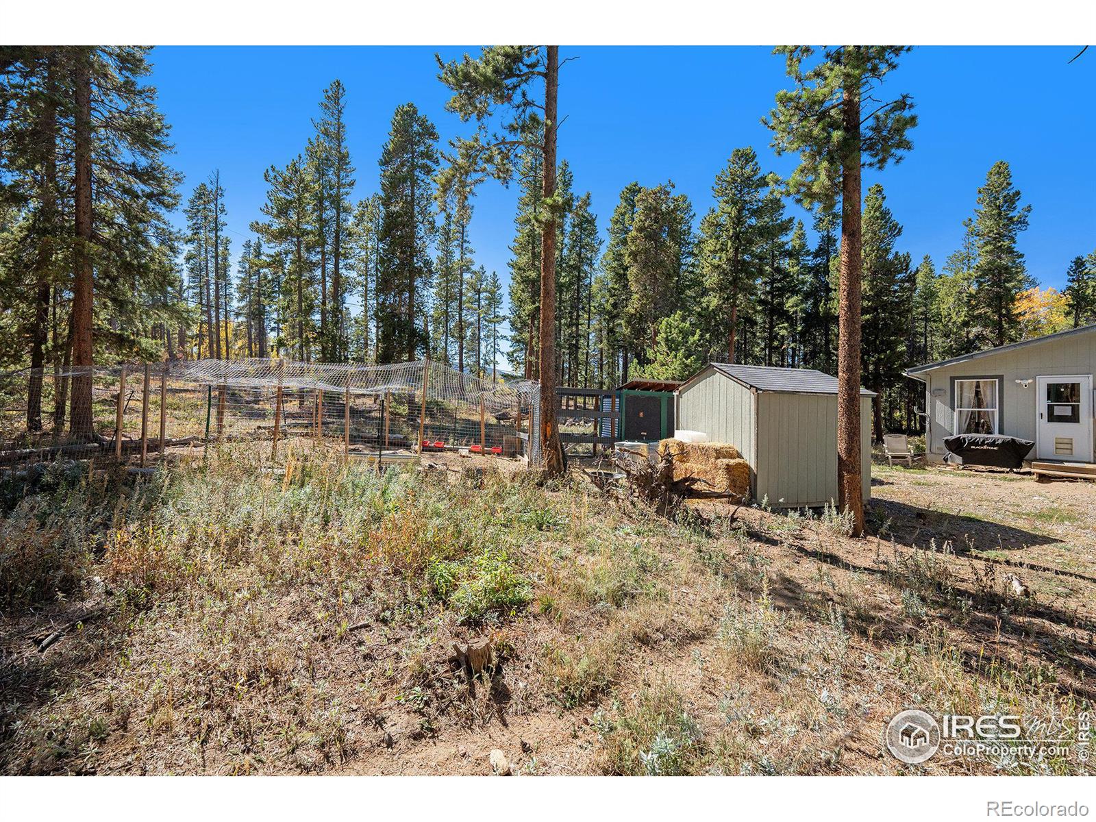 MLS Image #10 for 272  severance lodge road,black hawk, Colorado