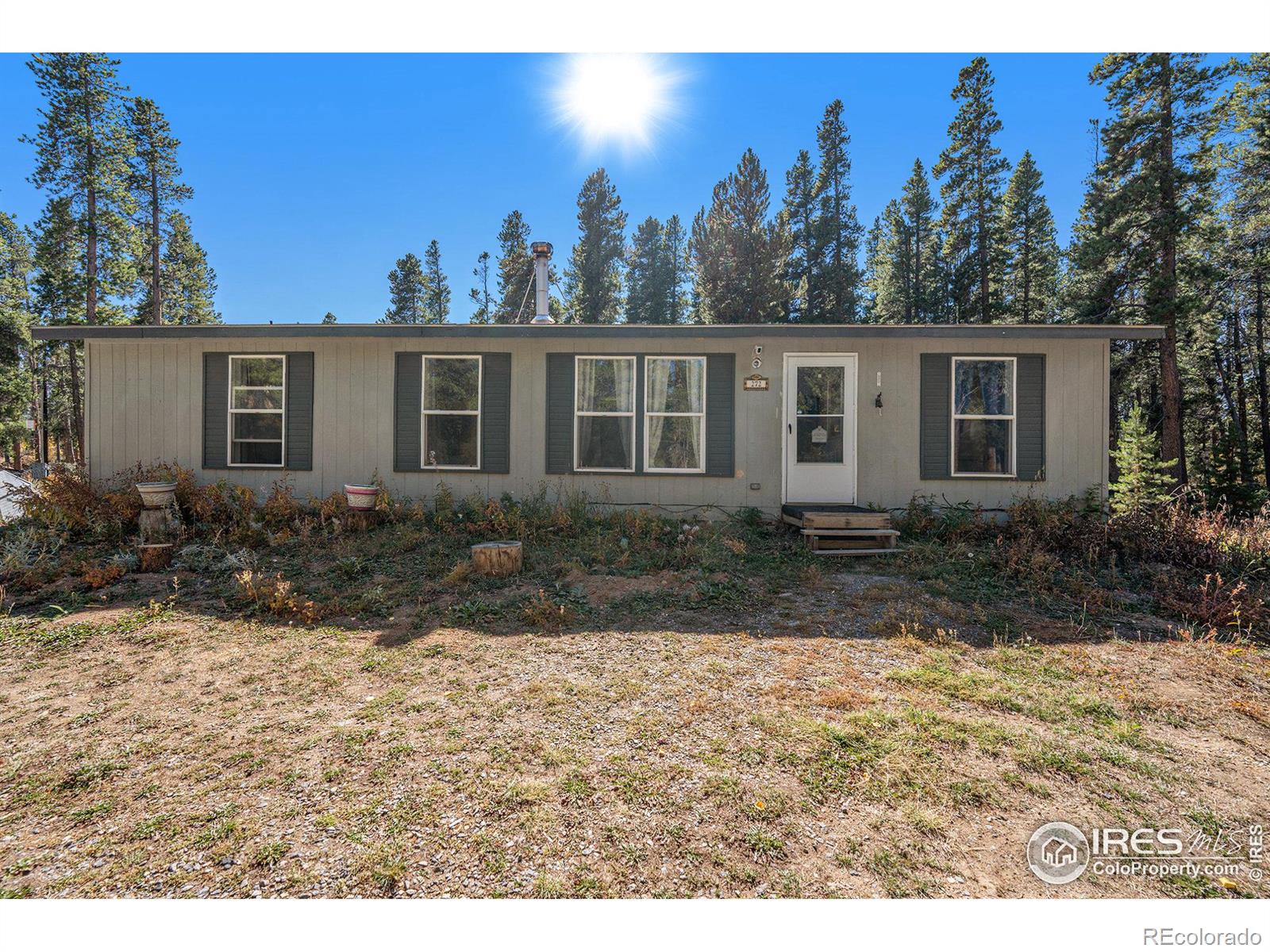 MLS Image #4 for 272  severance lodge road,black hawk, Colorado