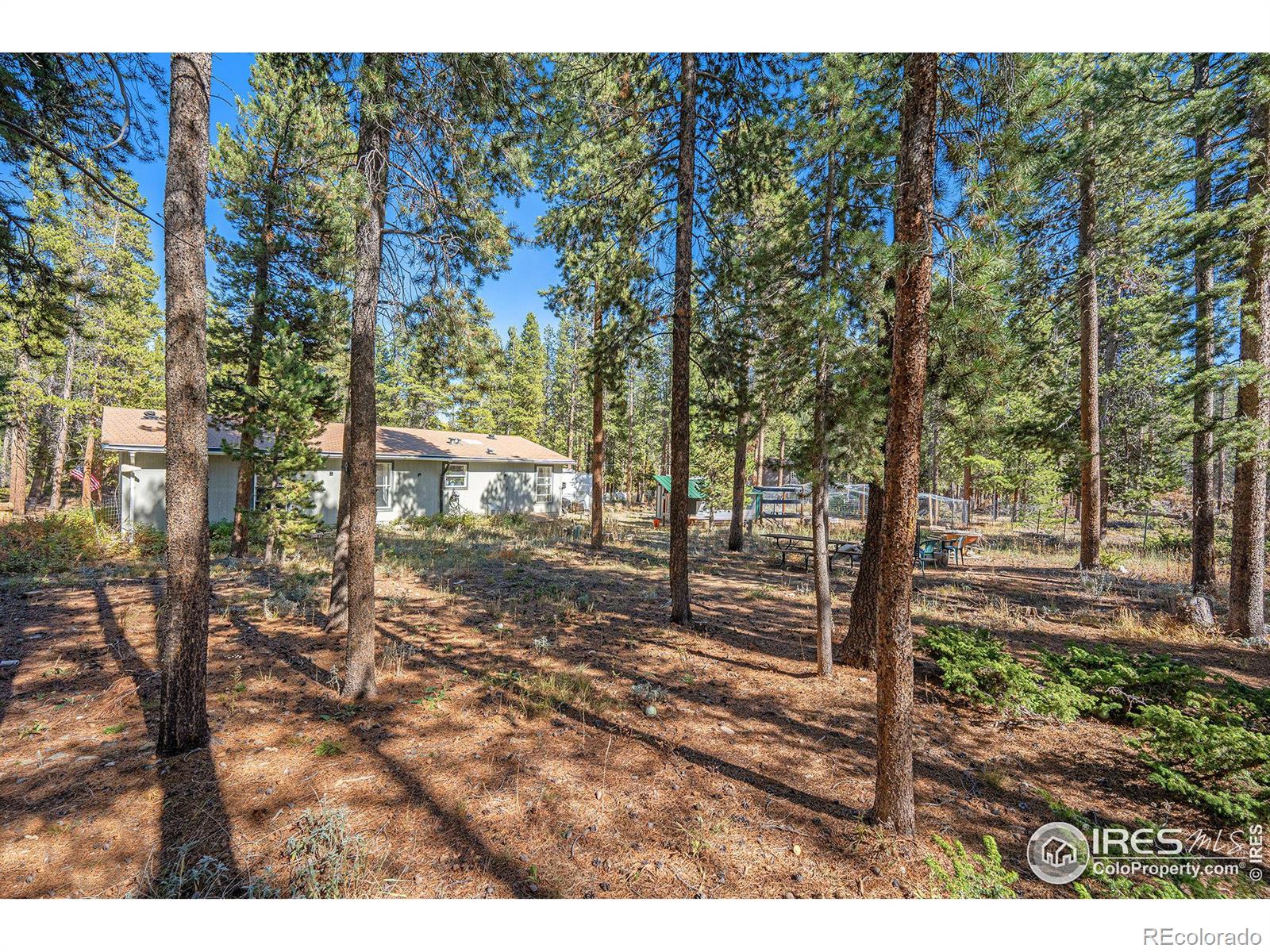 MLS Image #7 for 272  severance lodge road,black hawk, Colorado