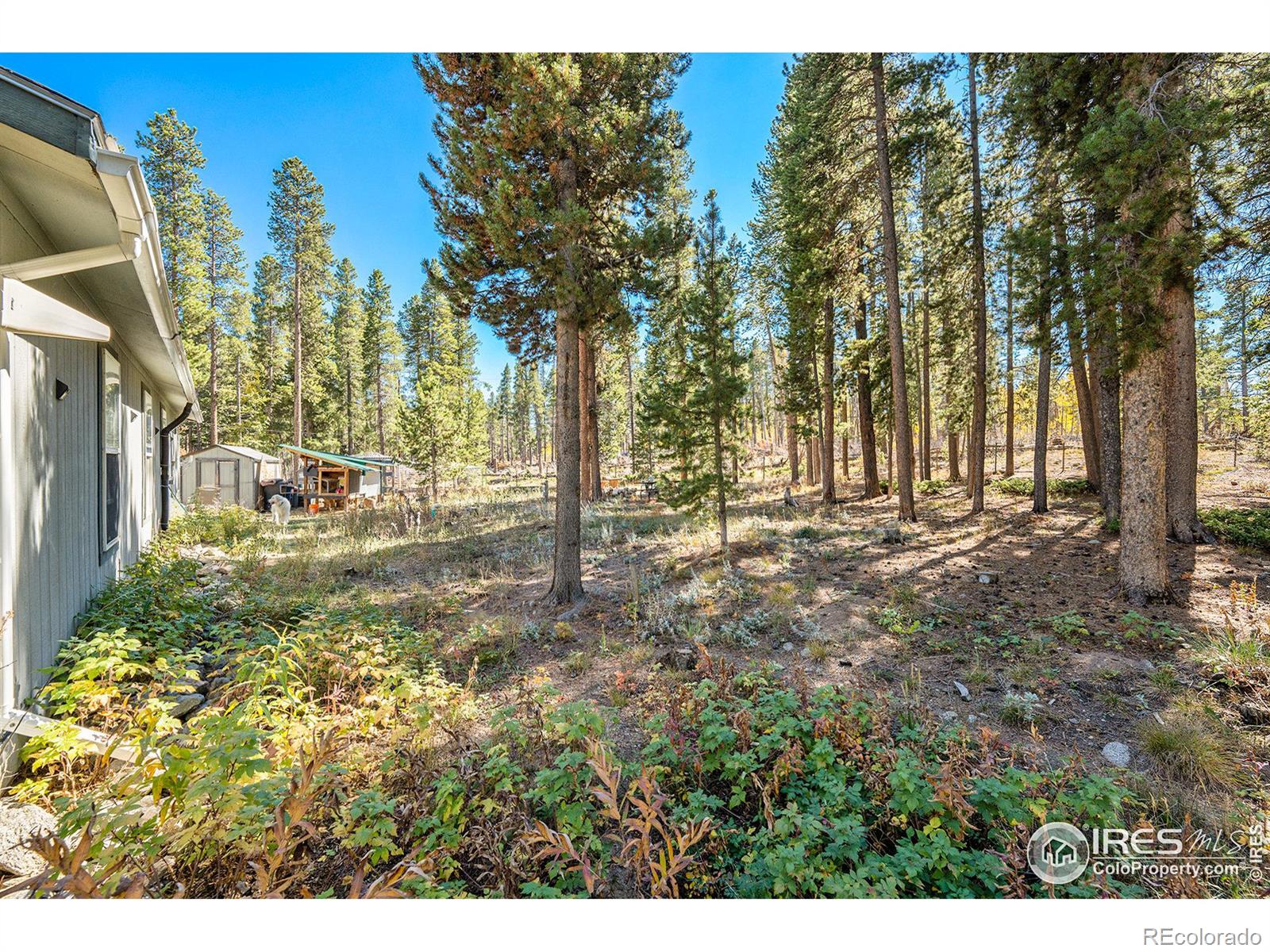 MLS Image #8 for 272  severance lodge road,black hawk, Colorado