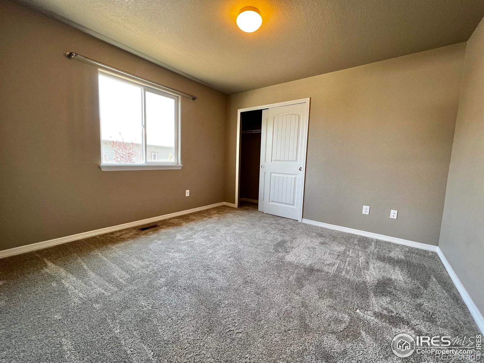 MLS Image #12 for 5682  chantry drive,windsor, Colorado