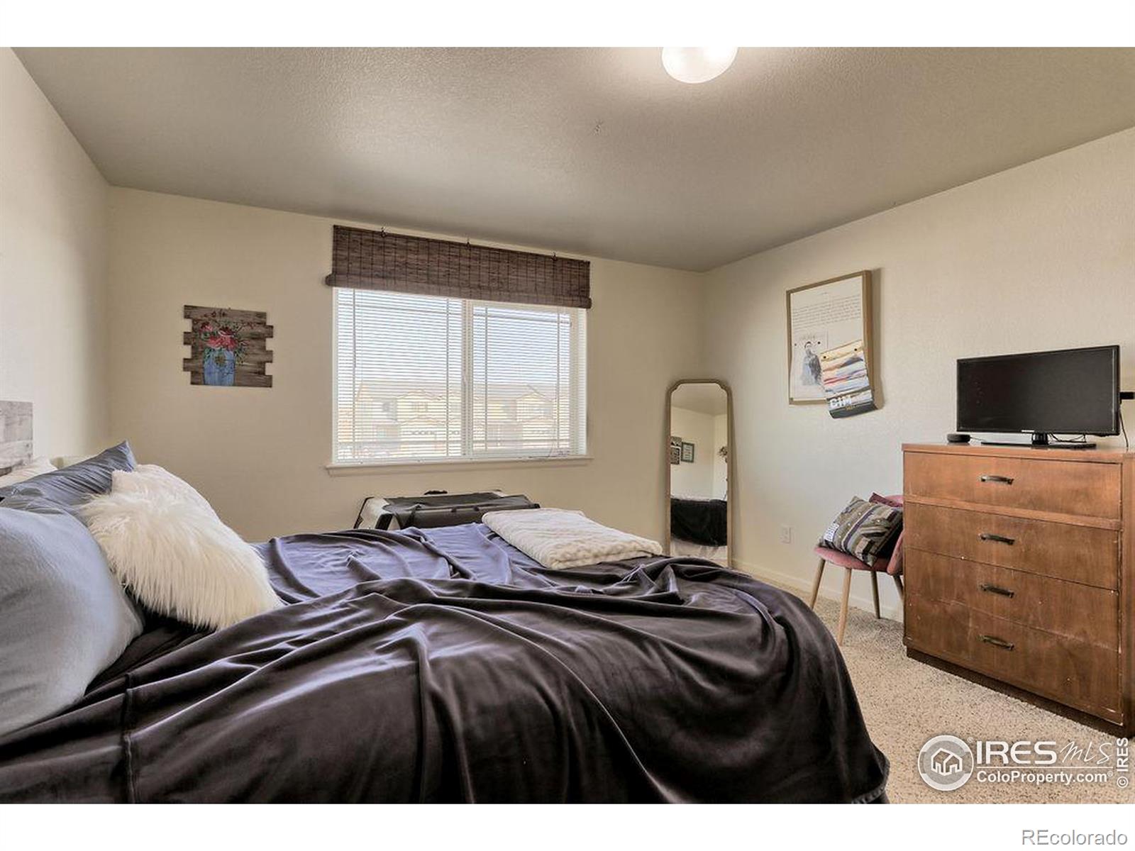 MLS Image #15 for 3169  fairmont drive,wellington, Colorado