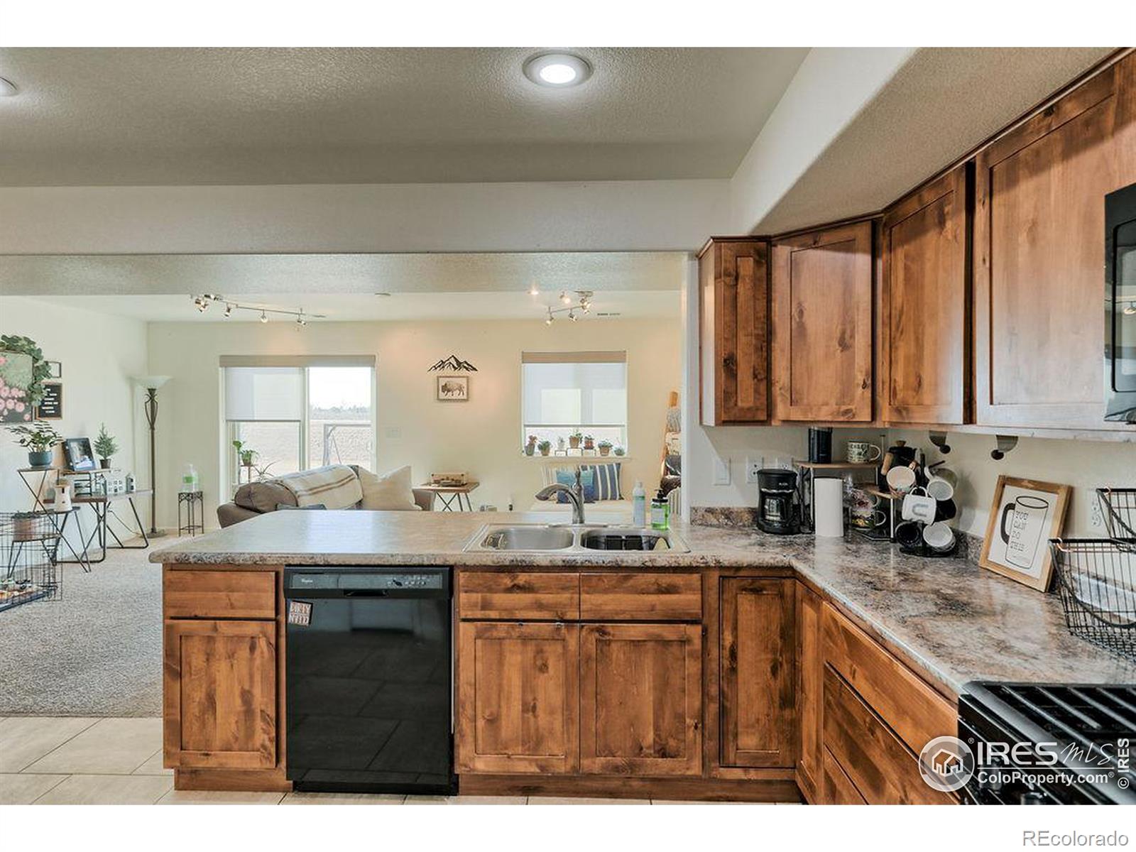 MLS Image #4 for 3169  fairmont drive,wellington, Colorado