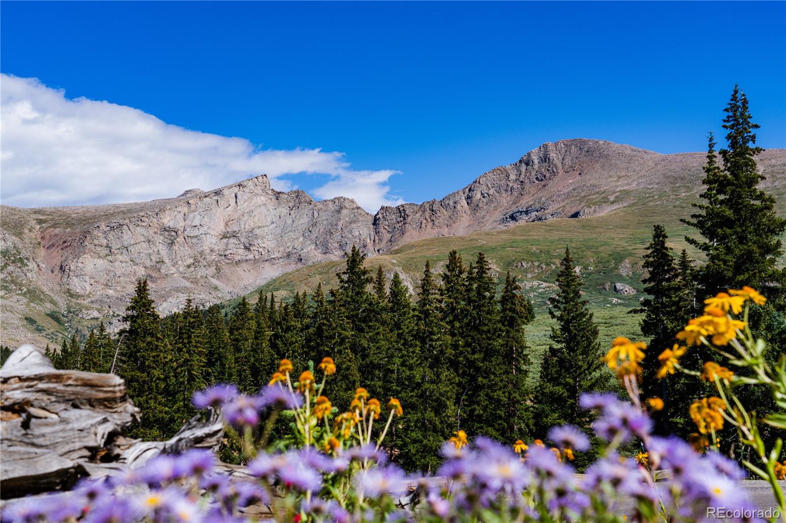 MLS Image #16 for 2121  hummingbird way,georgetown, Colorado