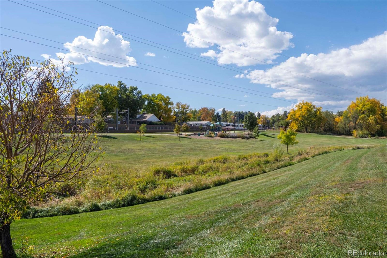 MLS Image #16 for 1330  ammons street,lakewood, Colorado