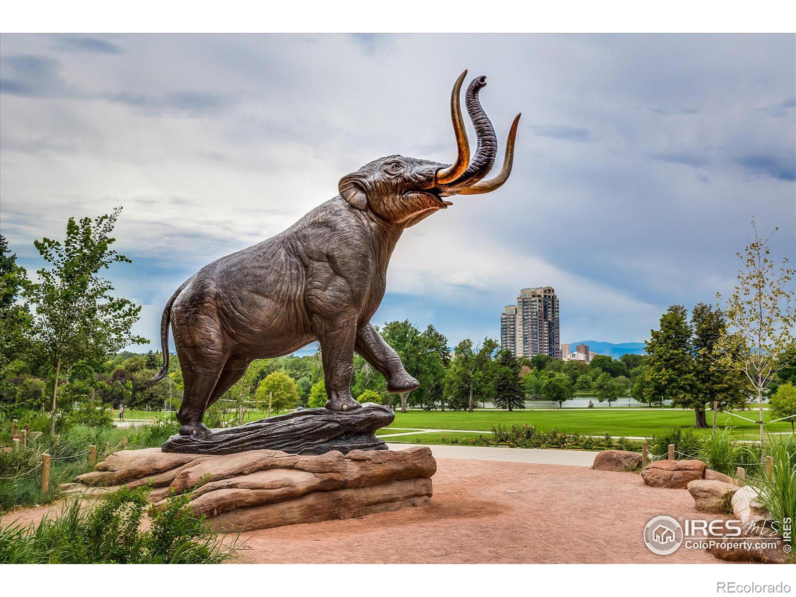 MLS Image #33 for 3674  dexter street,denver, Colorado