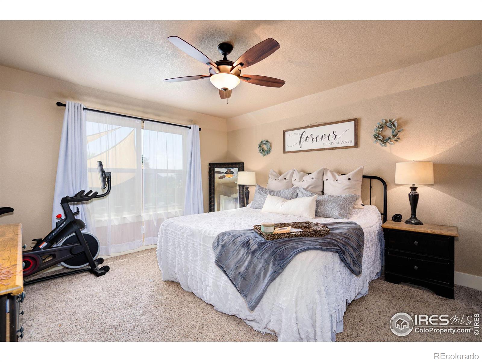 MLS Image #10 for 4123  woodlake lane,wellington, Colorado