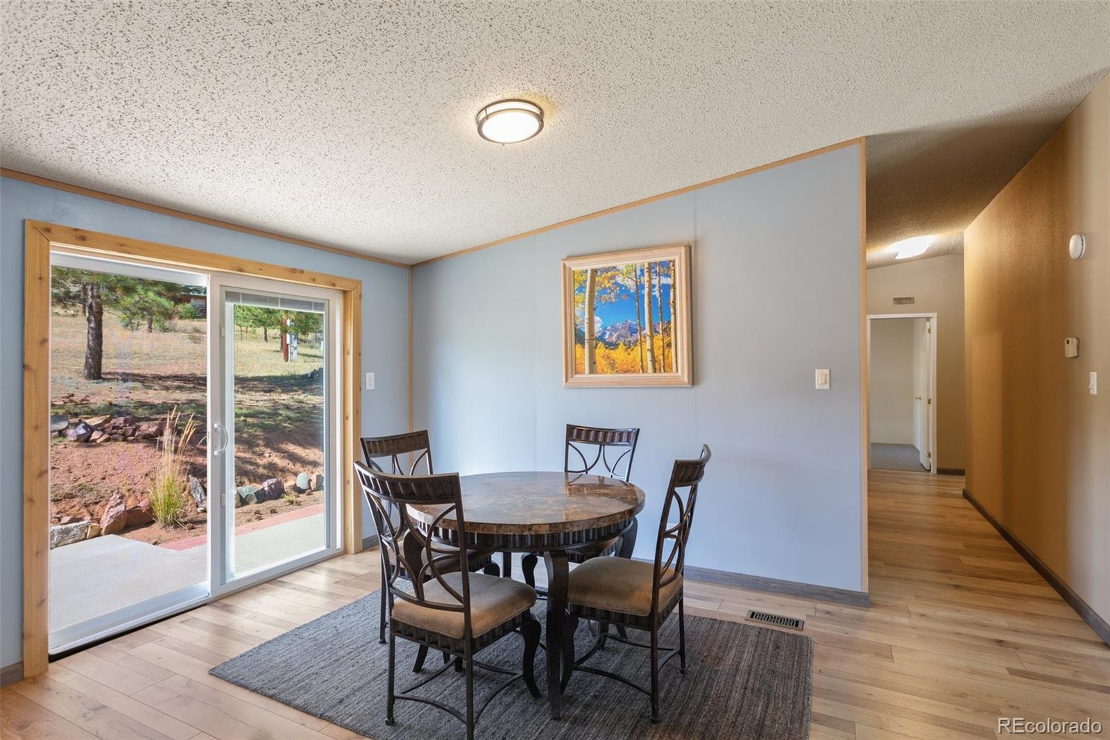 MLS Image #10 for 154  hummingbird circle,florissant, Colorado