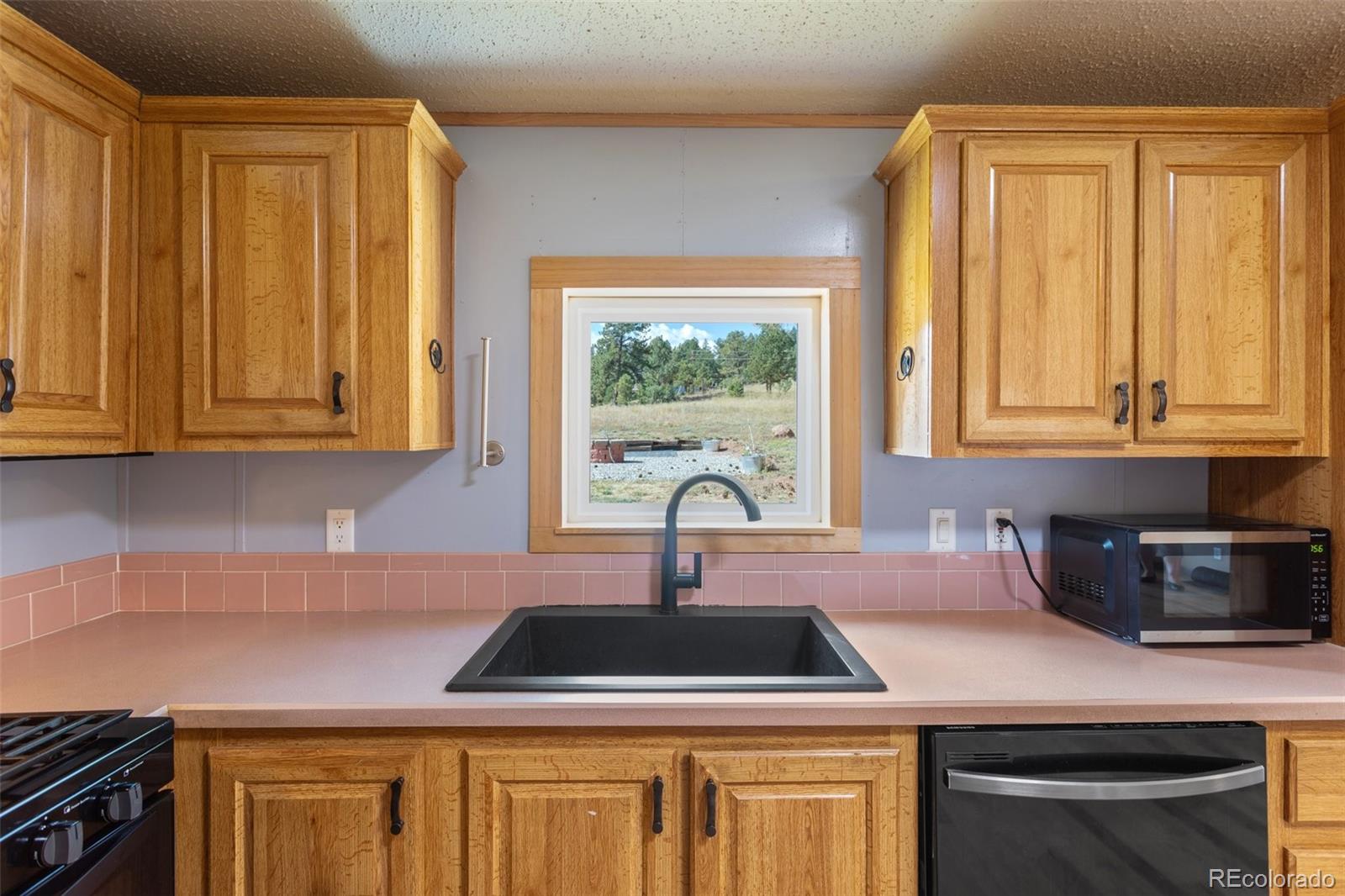 MLS Image #12 for 154  hummingbird circle,florissant, Colorado