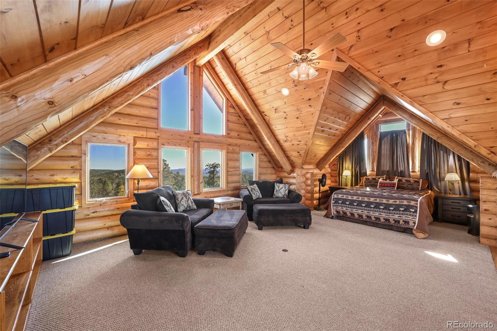 MLS Image #20 for 19558  aspen rose drive,weston, Colorado