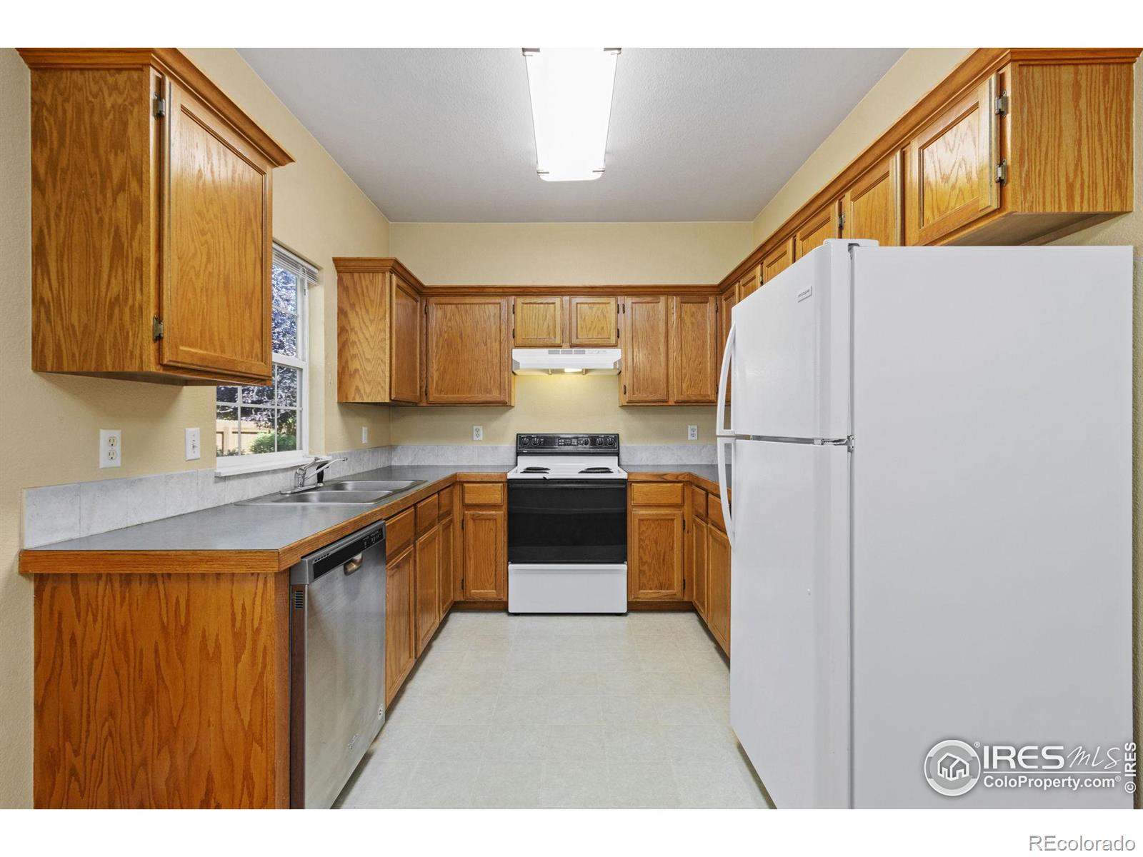 MLS Image #10 for 6612  avondale road,fort collins, Colorado