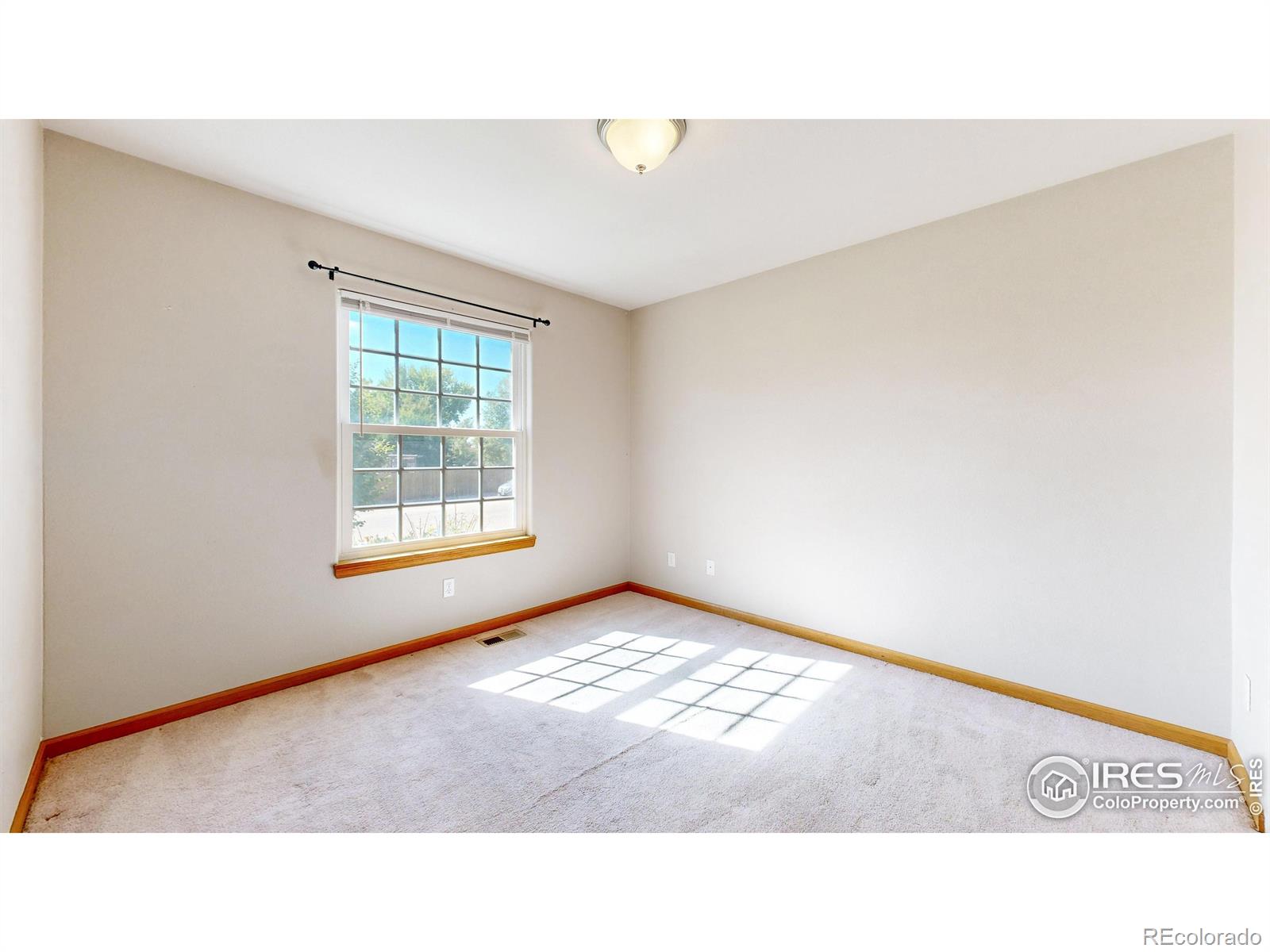 MLS Image #22 for 361  amber drive,windsor, Colorado