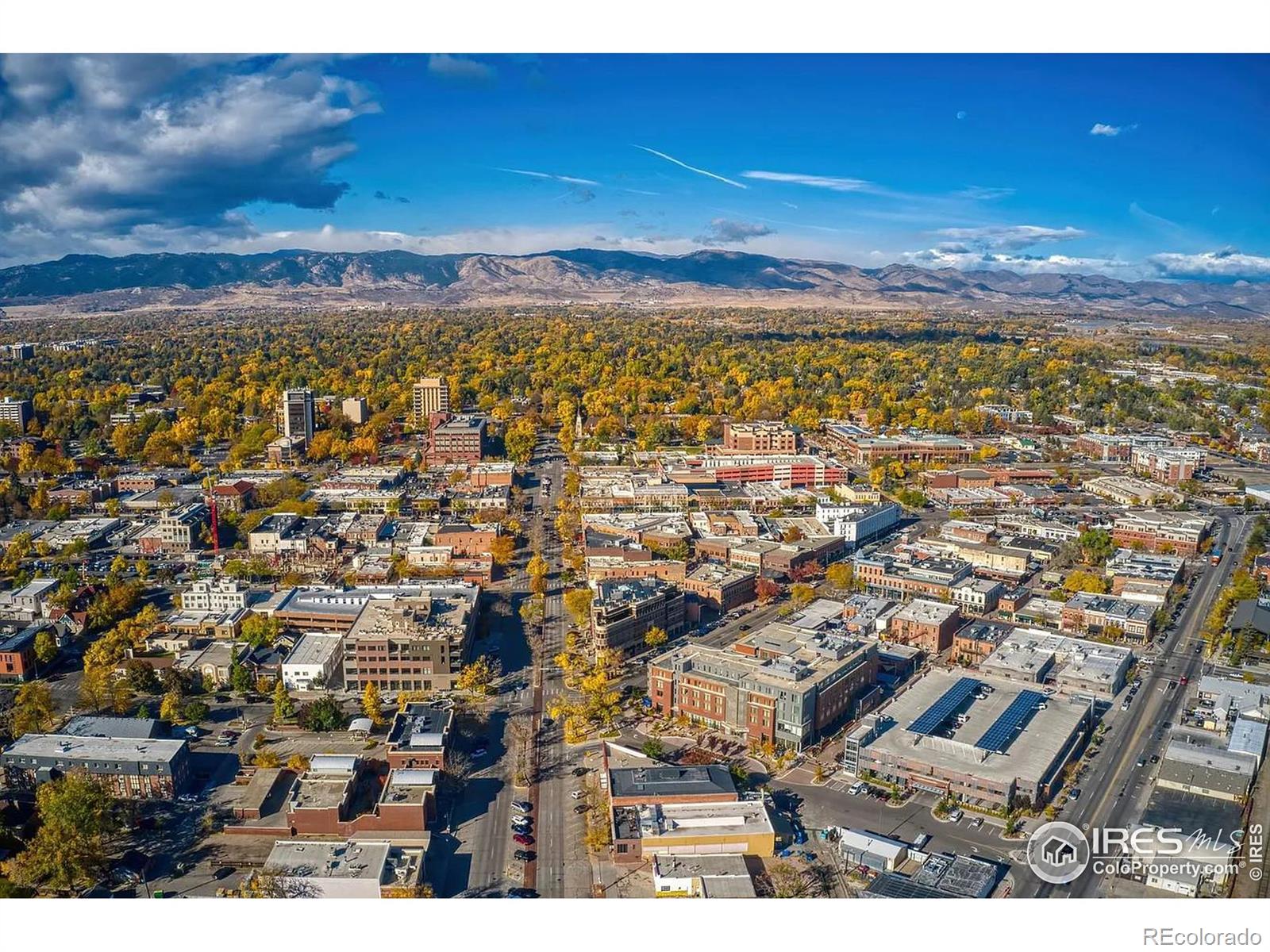 MLS Image #26 for 786  pokeweed lane,fort collins, Colorado