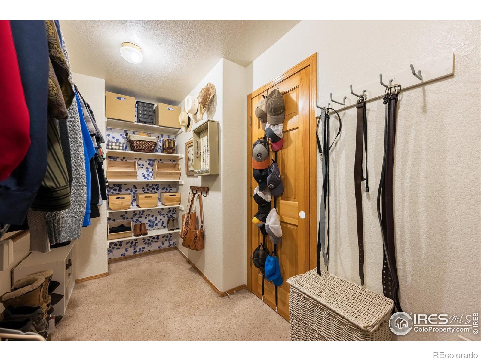 MLS Image #19 for 707  mcgraw drive,fort collins, Colorado