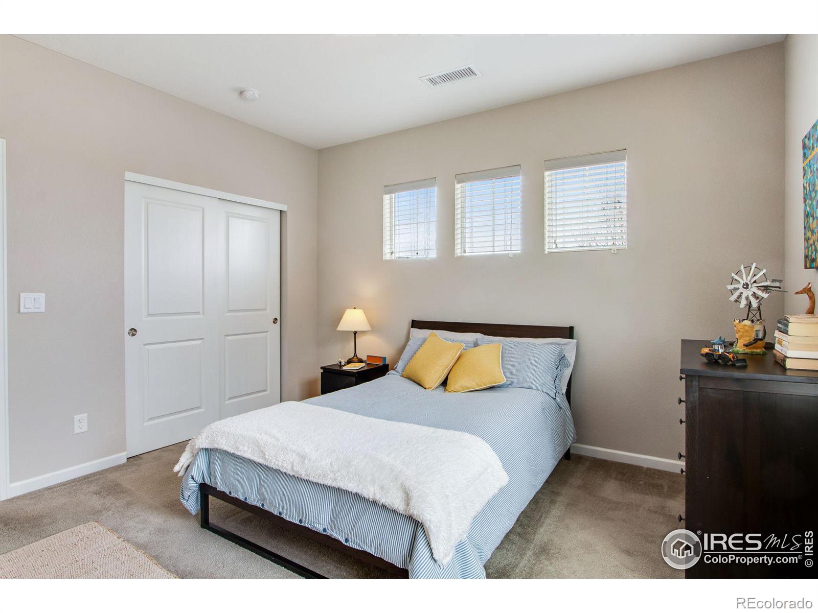 MLS Image #12 for 4272  lyric falls drive,loveland, Colorado