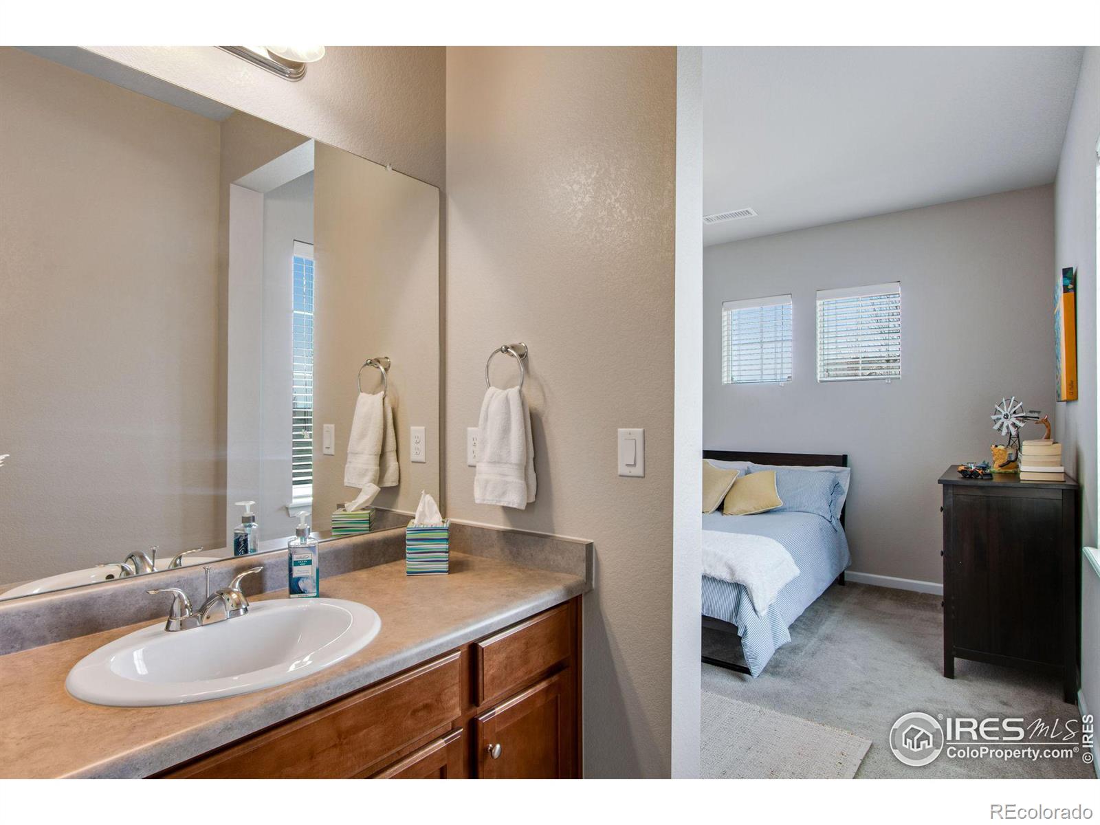 MLS Image #14 for 4272  lyric falls drive,loveland, Colorado