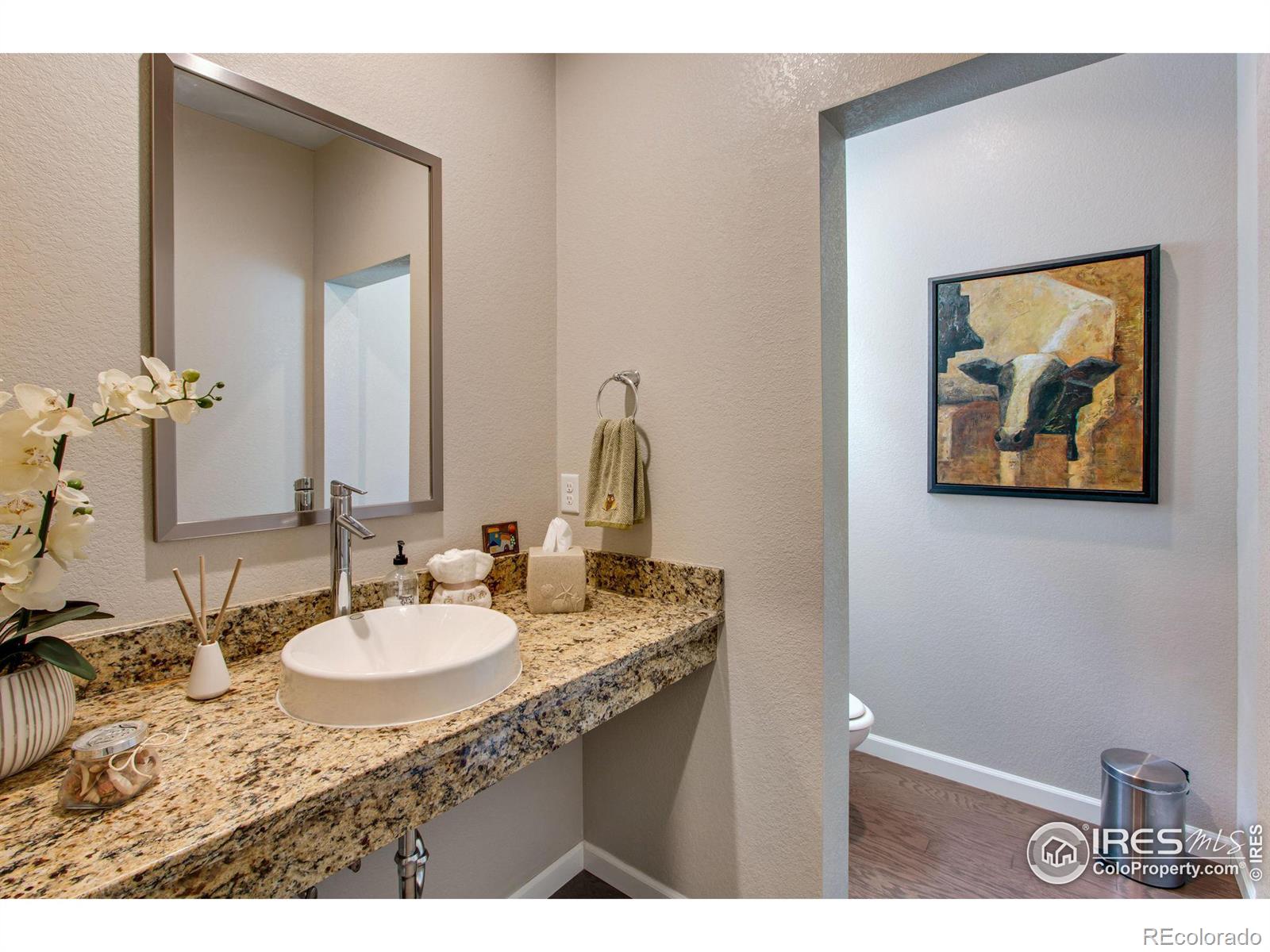 MLS Image #17 for 4272  lyric falls drive,loveland, Colorado