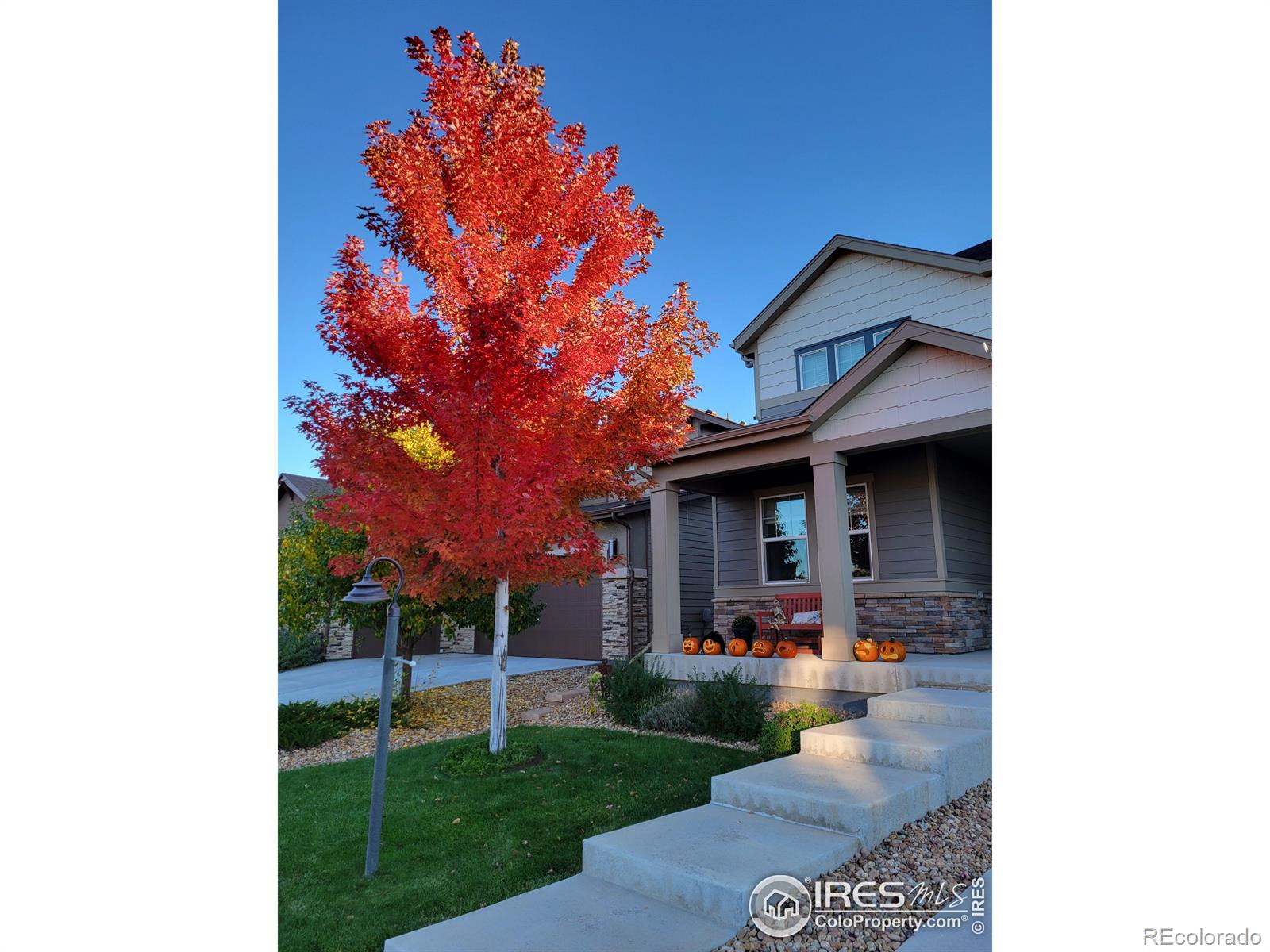 MLS Image #21 for 4272  lyric falls drive,loveland, Colorado