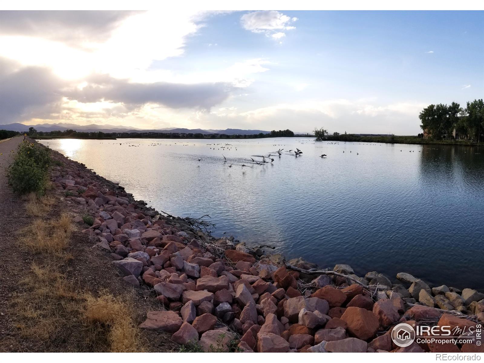 MLS Image #25 for 4272  lyric falls drive,loveland, Colorado