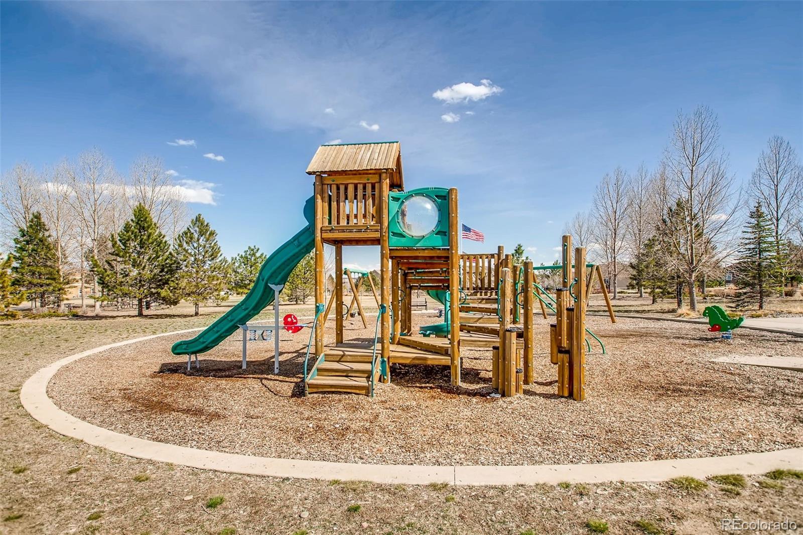 MLS Image #44 for 13002  sibrica street,parker, Colorado