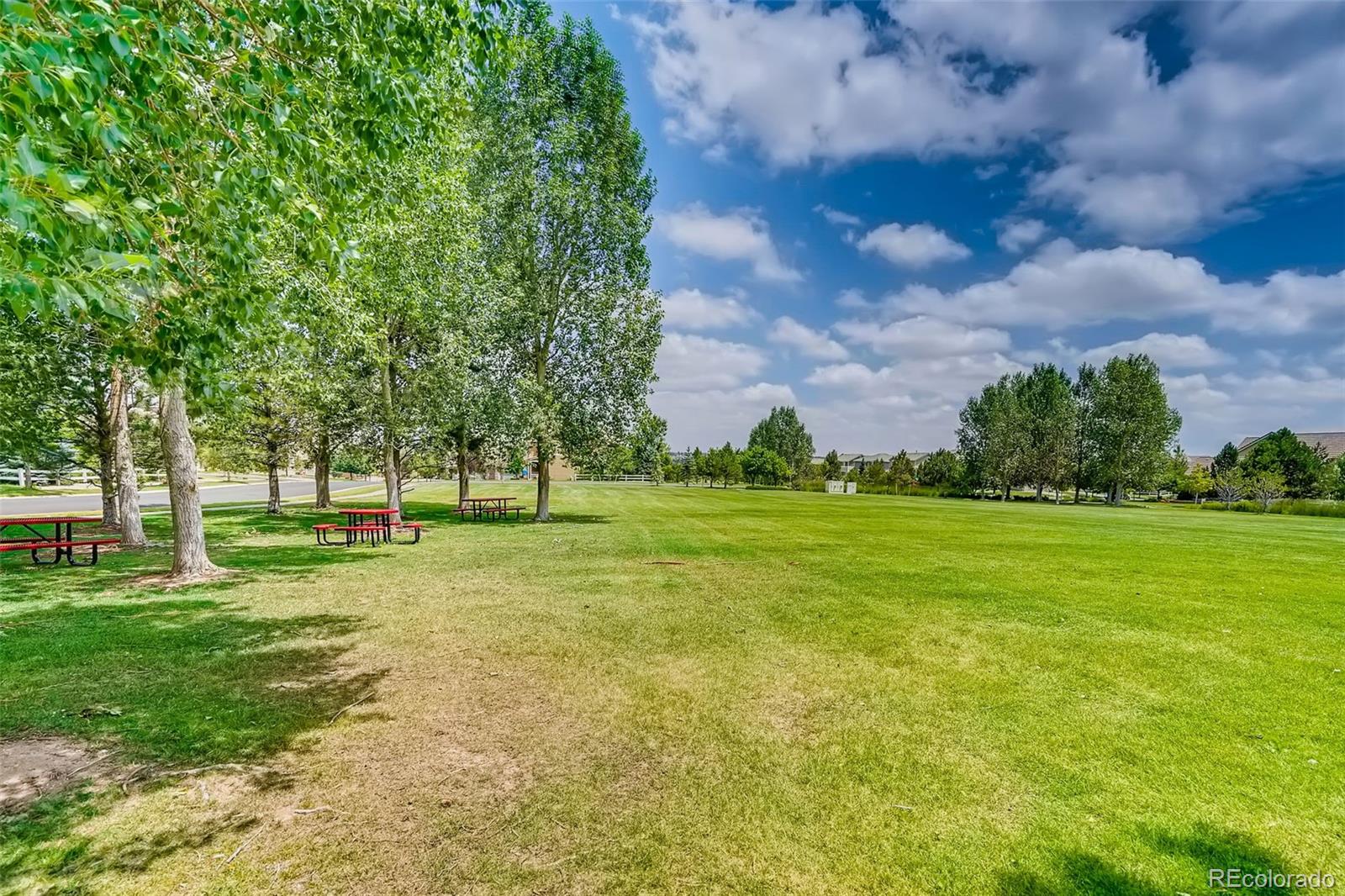 MLS Image #46 for 13002  sibrica street,parker, Colorado