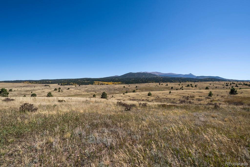 MLS Image #20 for 24108  state highway 67 ,divide, Colorado