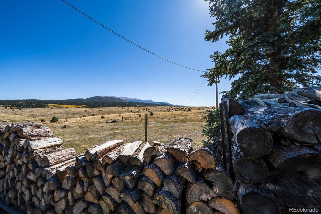 MLS Image #3 for 24108  state highway 67 ,divide, Colorado