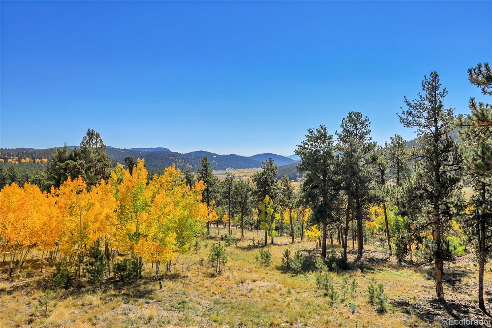 MLS Image #25 for 110  bad bandit lane,bailey, Colorado