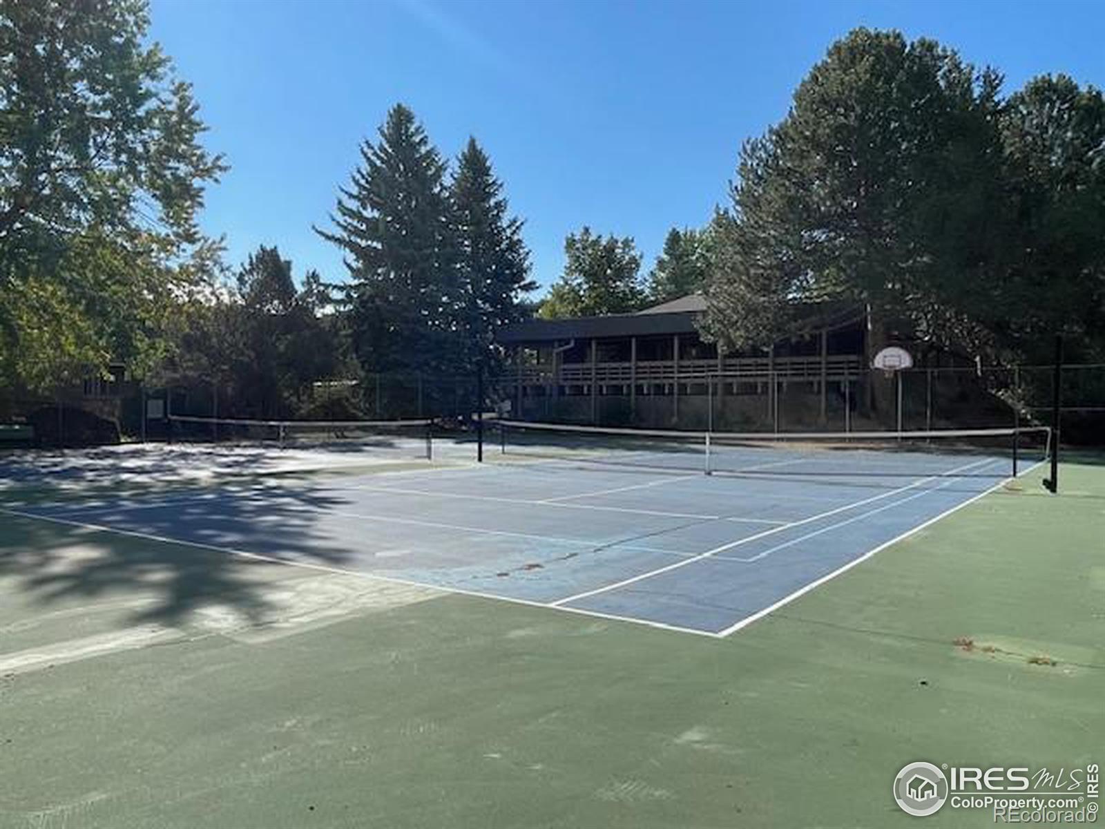 MLS Image #16 for 3150  iris avenue,boulder, Colorado