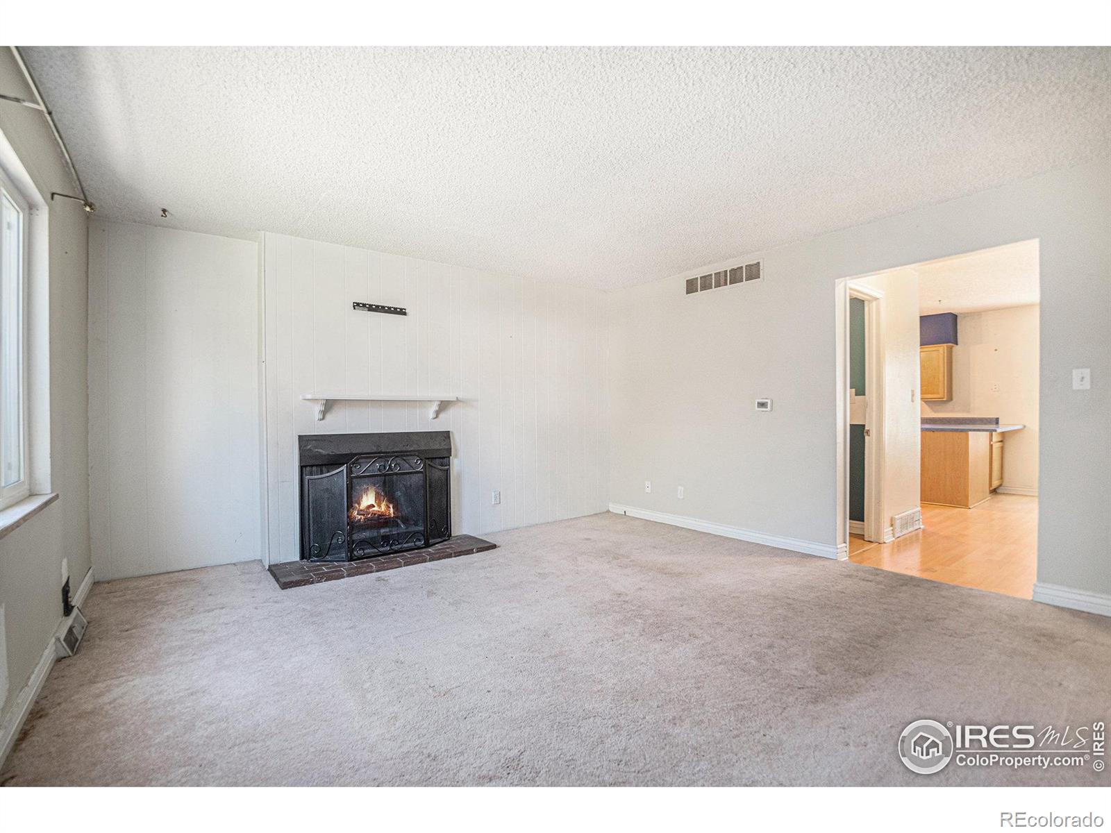 MLS Image #4 for 3643 w union avenue,denver, Colorado