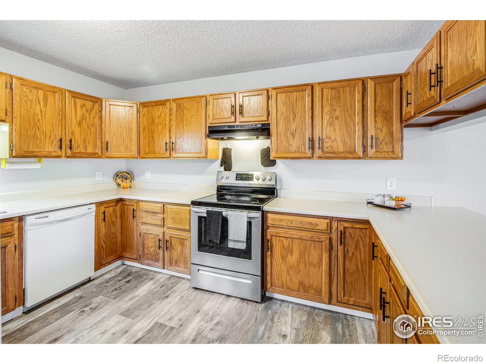 MLS Image #4 for 1050 s st vrain avenue,estes park, Colorado