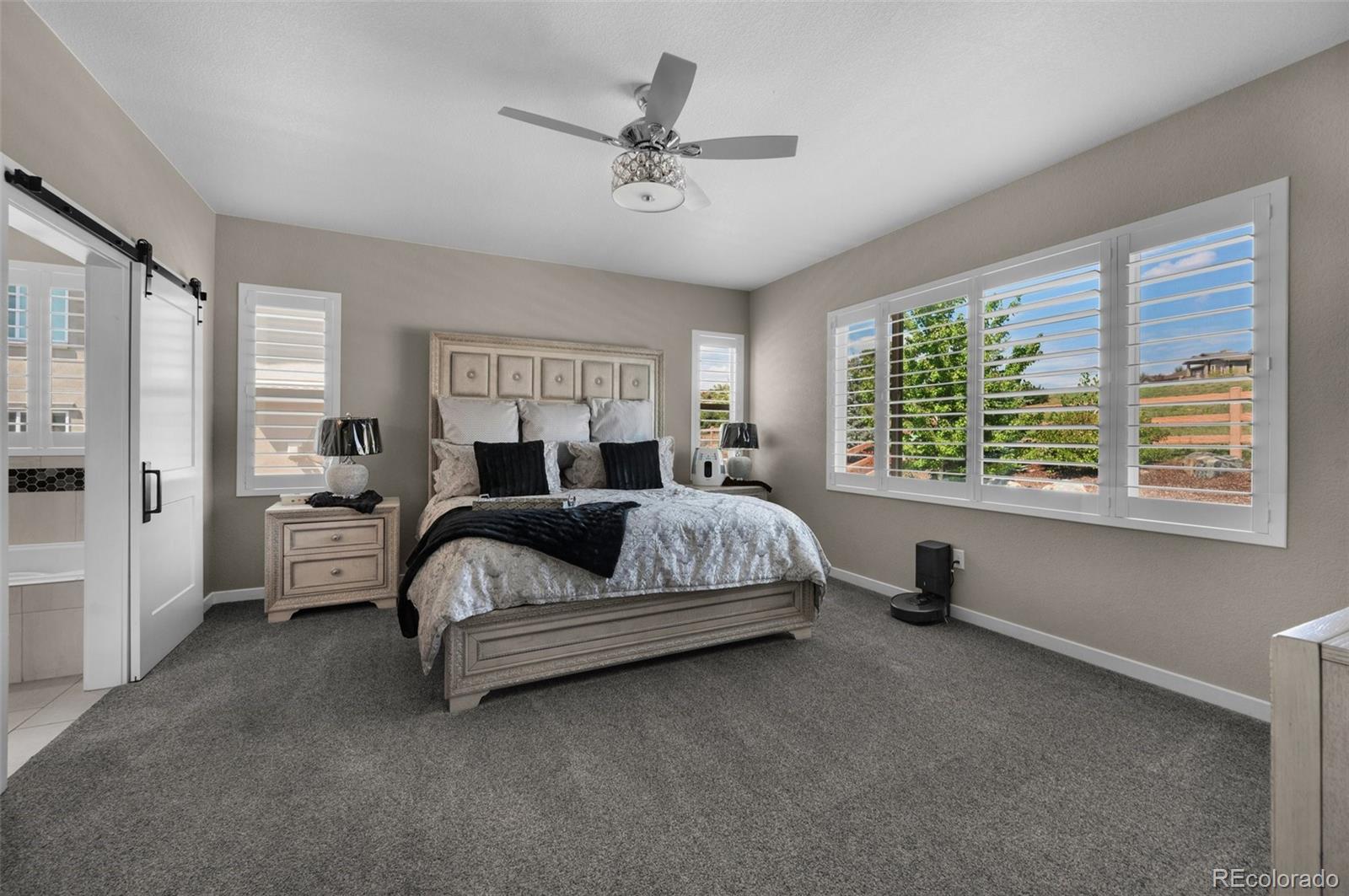 MLS Image #20 for 1992  walnut creek court,colorado springs, Colorado