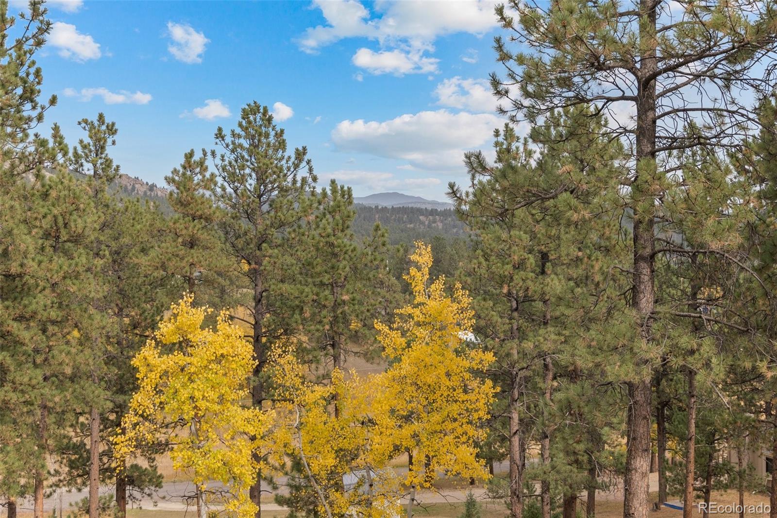 MLS Image #4 for 29971  dorothy road,evergreen, Colorado