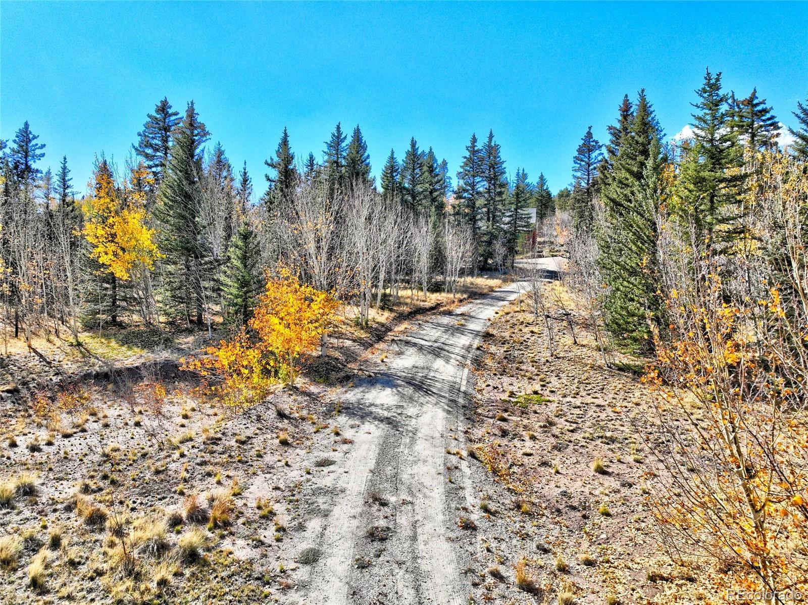 MLS Image #22 for 2377  stagestop road,jefferson, Colorado