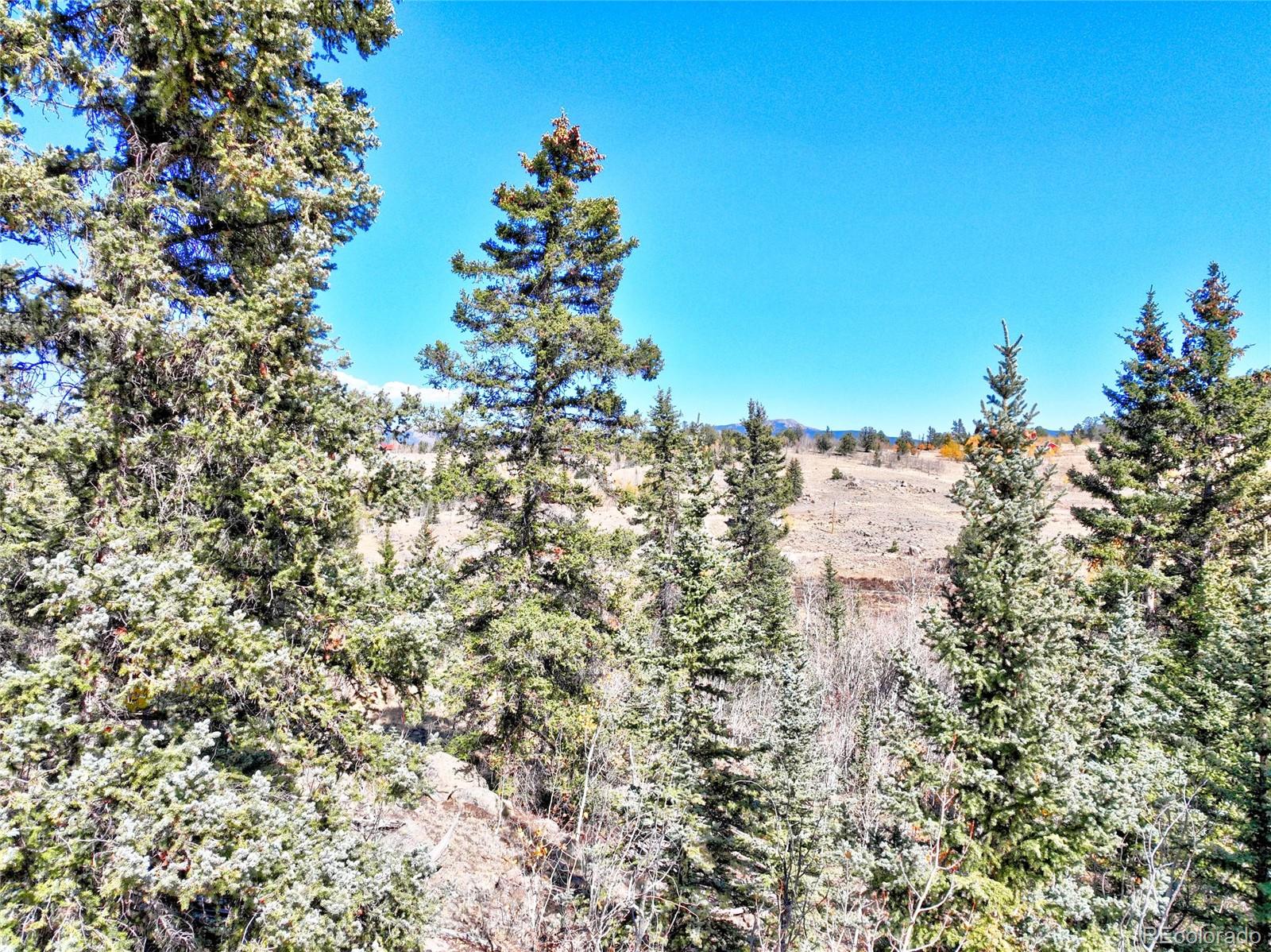 MLS Image #25 for 2377  stagestop road,jefferson, Colorado