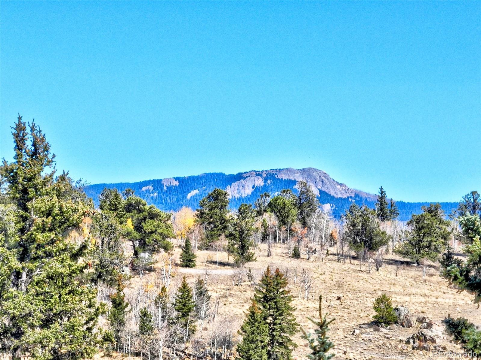 MLS Image #40 for 2377  stagestop road,jefferson, Colorado
