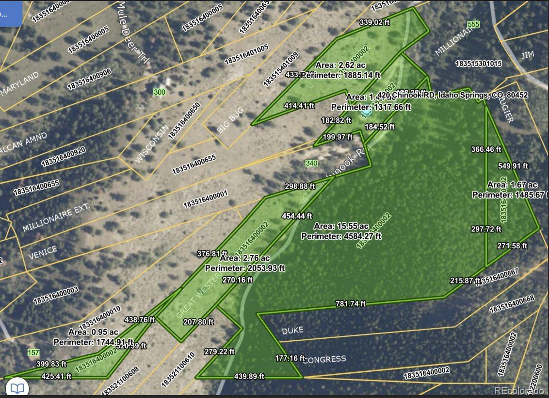 MLS Image #42 for 420  chinook road,idaho springs, Colorado
