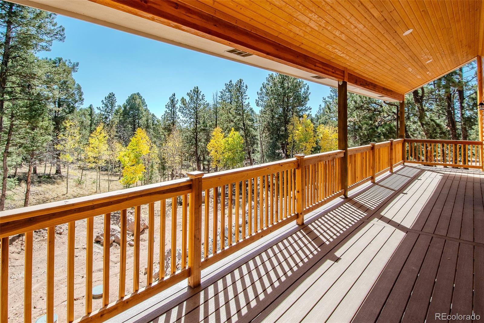 MLS Image #12 for 18  garnet way,florissant, Colorado