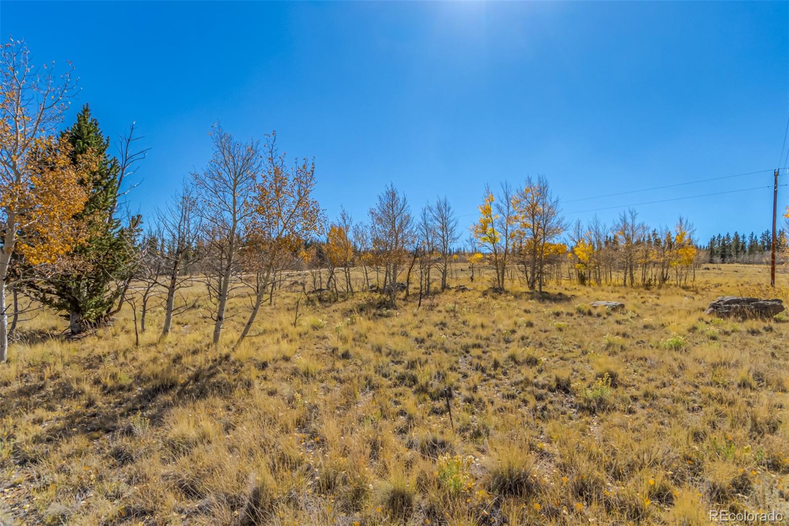 MLS Image #14 for 902  cumberland drive,jefferson, Colorado