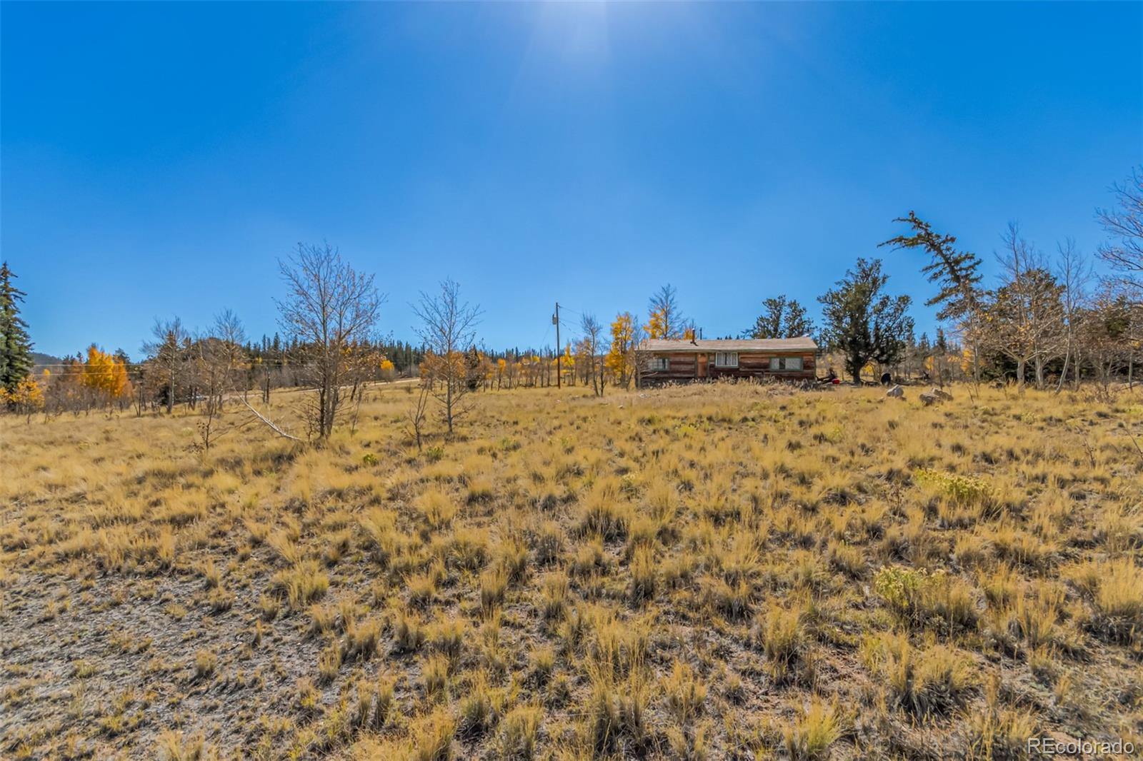 MLS Image #19 for 902  cumberland drive,jefferson, Colorado